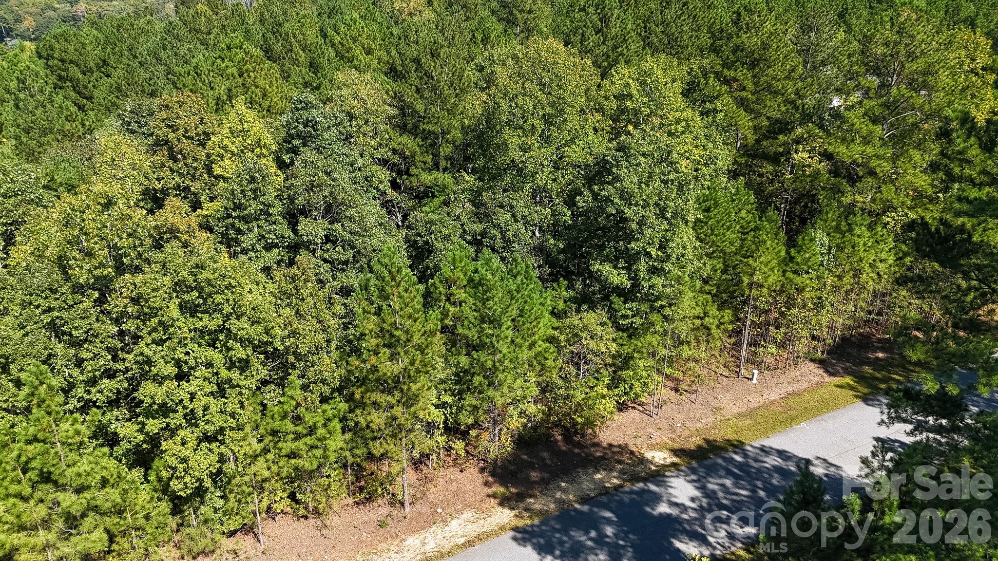 3132 Panoramic Vista Court 55 Property Photo 15