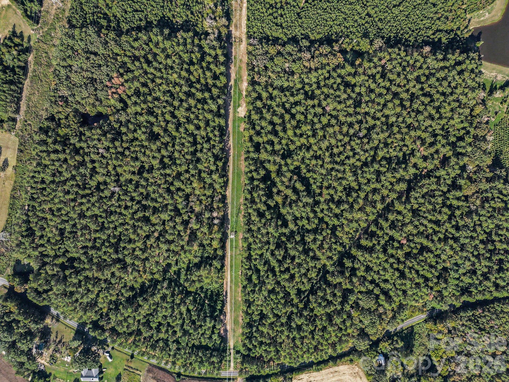Lot 2 Griffin Greene Boulevard Property Photo 5