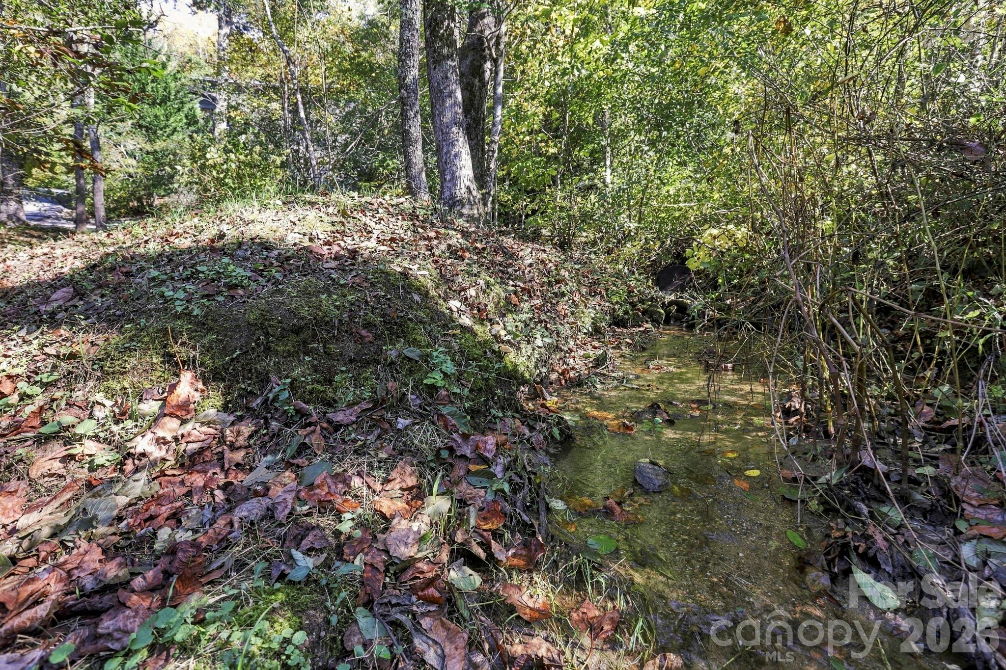 39 Williams Cove Road Property Photo 33