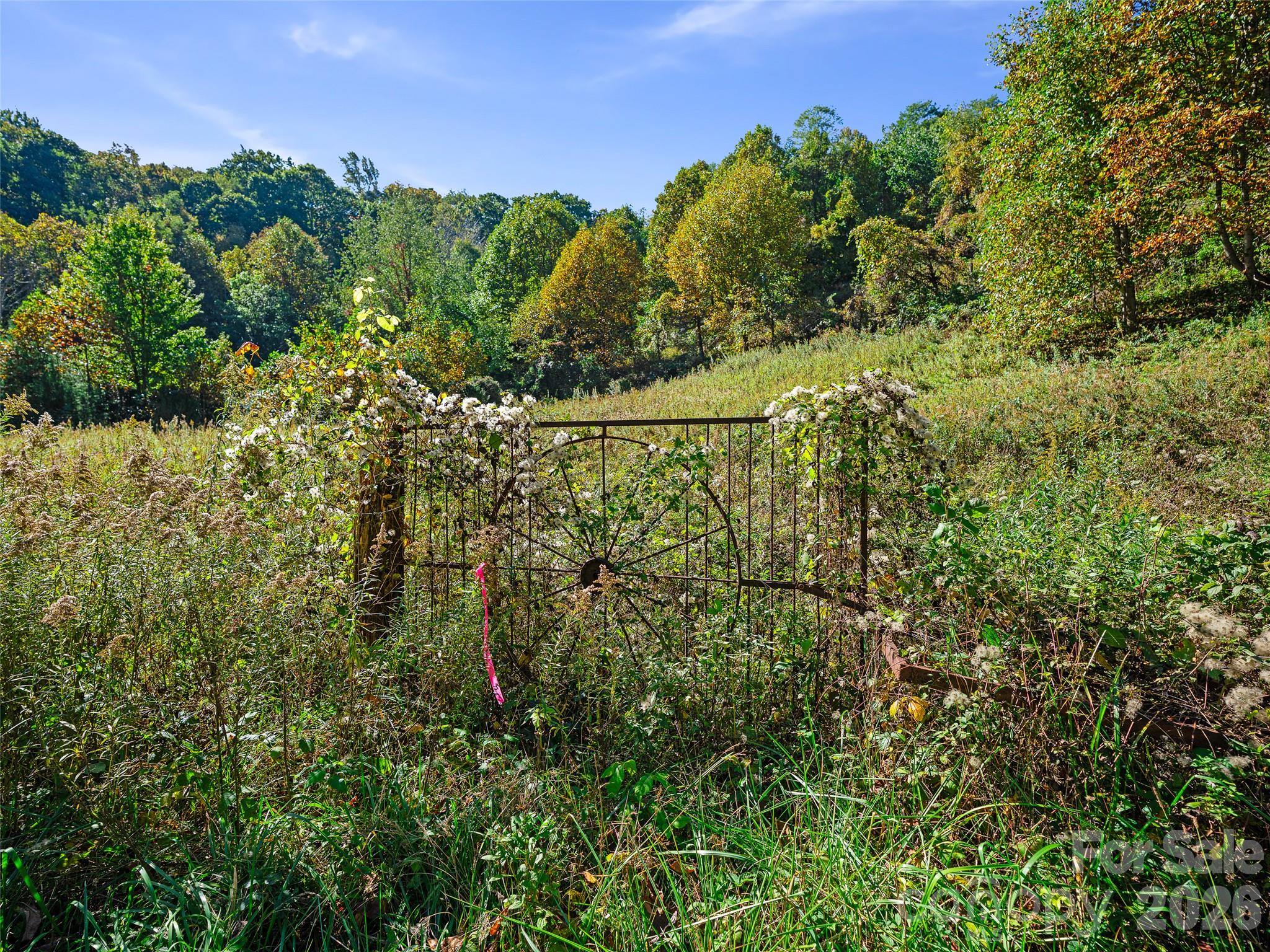 Tbd Chestnut Grove Road Property Photo 5