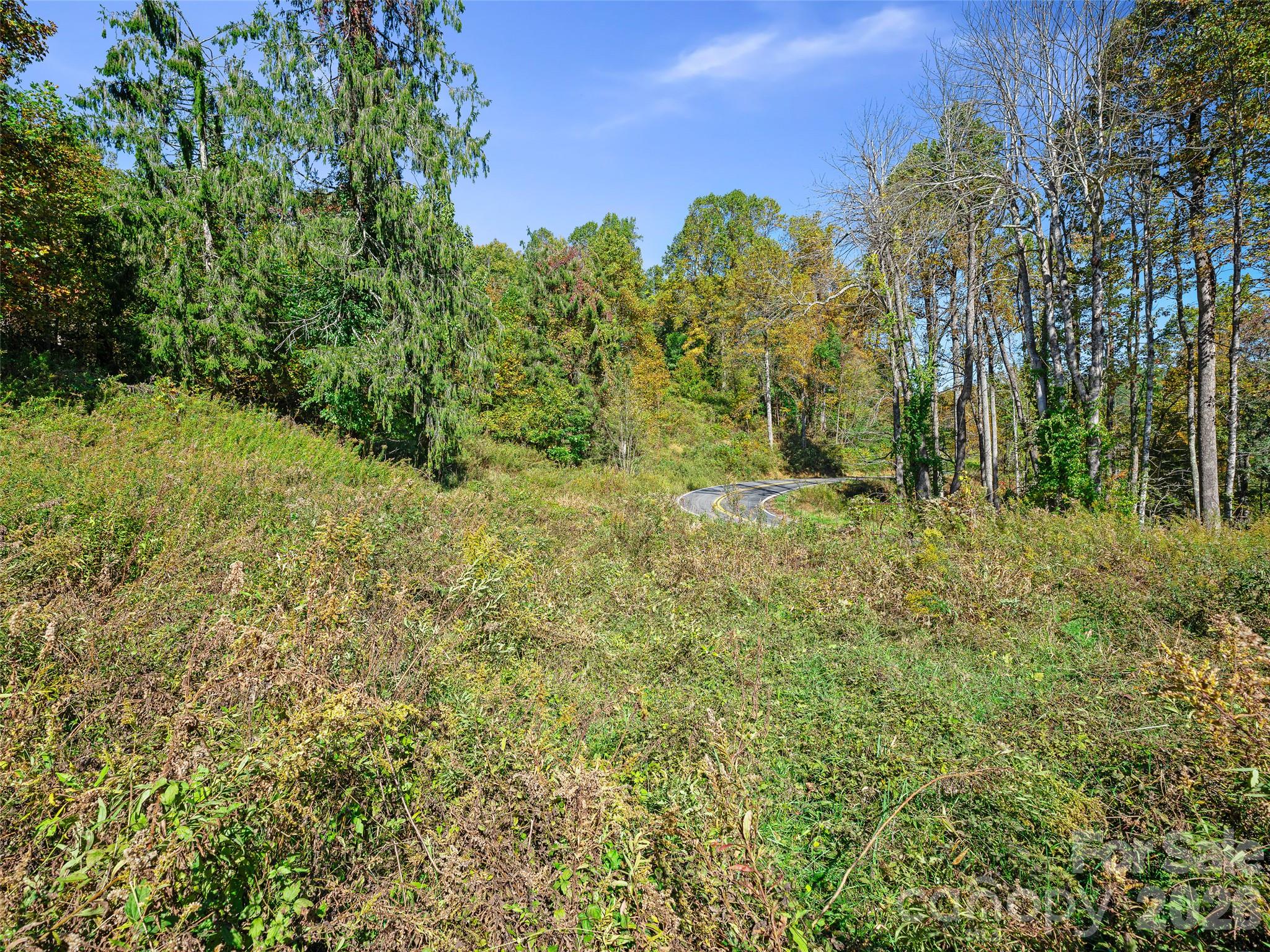 Tbd Chestnut Grove Road Property Photo 7