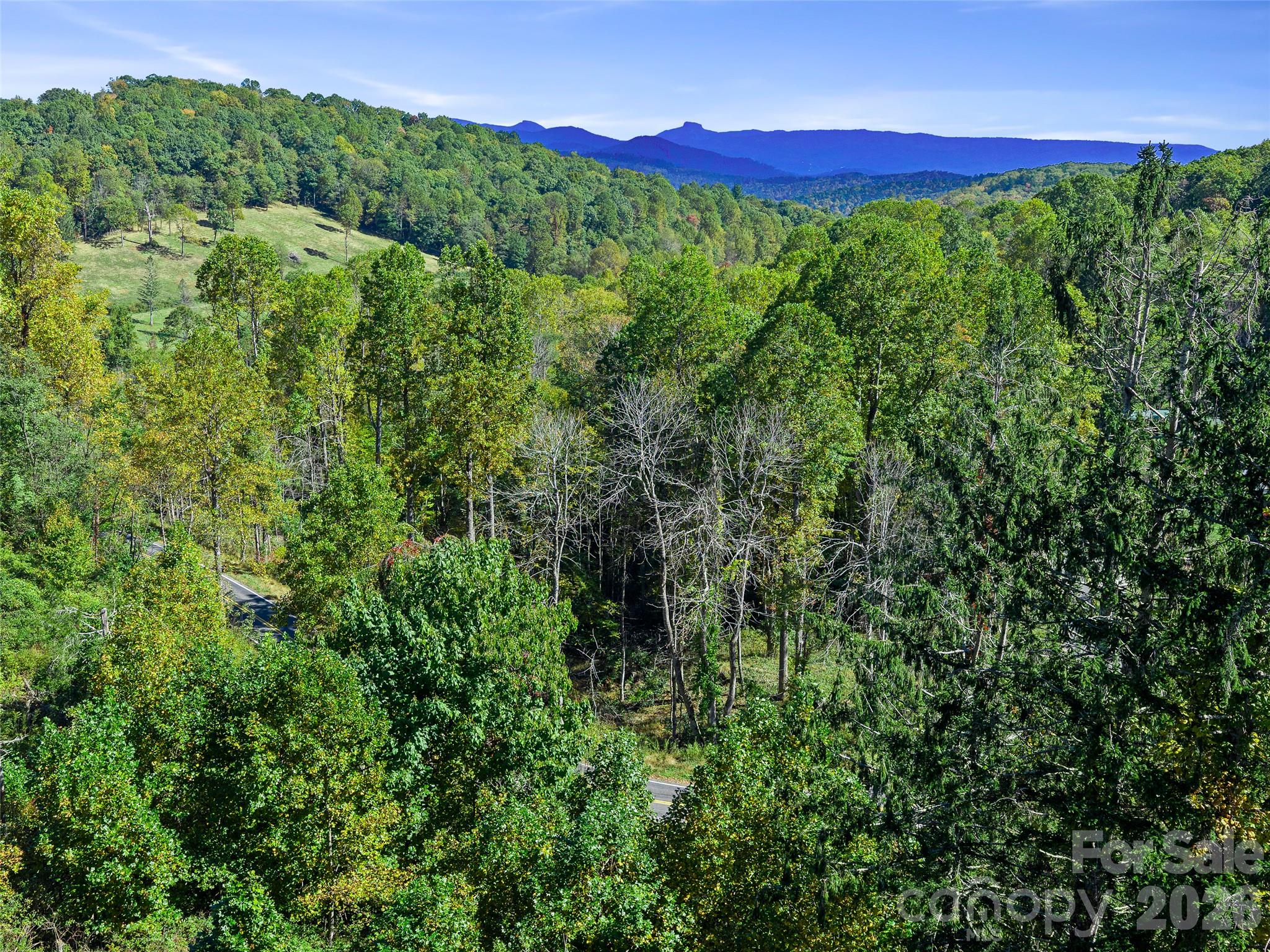 Tbd Chestnut Grove Road Property Photo 10