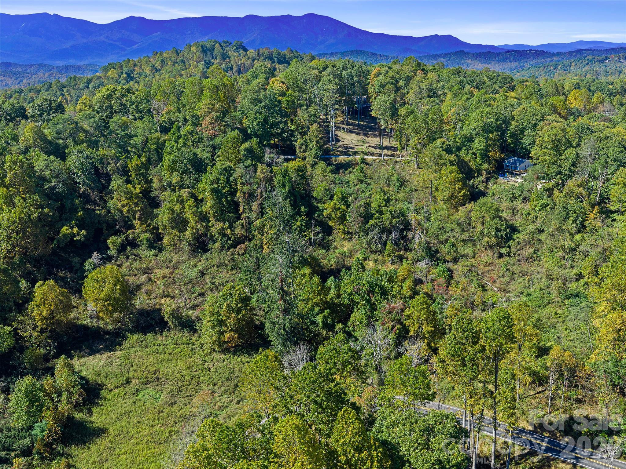 Tbd Chestnut Grove Road Property Photo 16