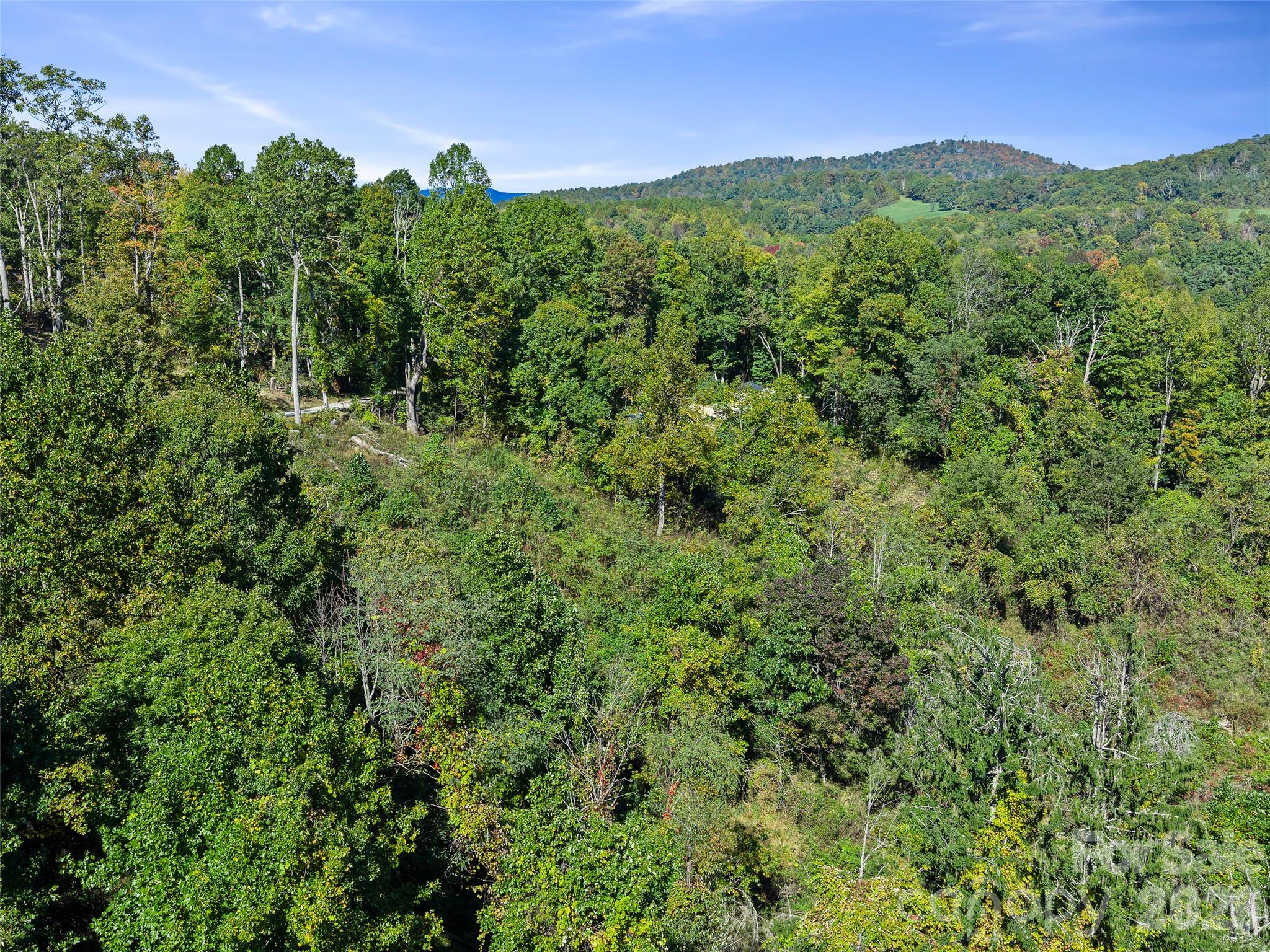 Tbd Chestnut Grove Road Property Photo 18