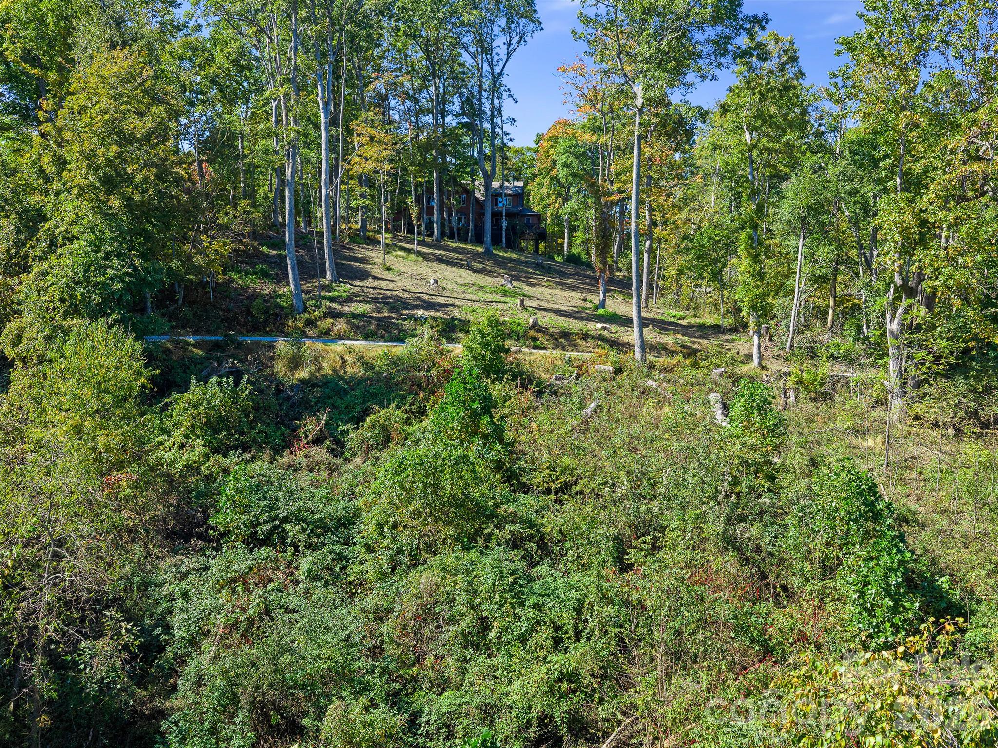 Tbd Chestnut Grove Road Property Photo 19