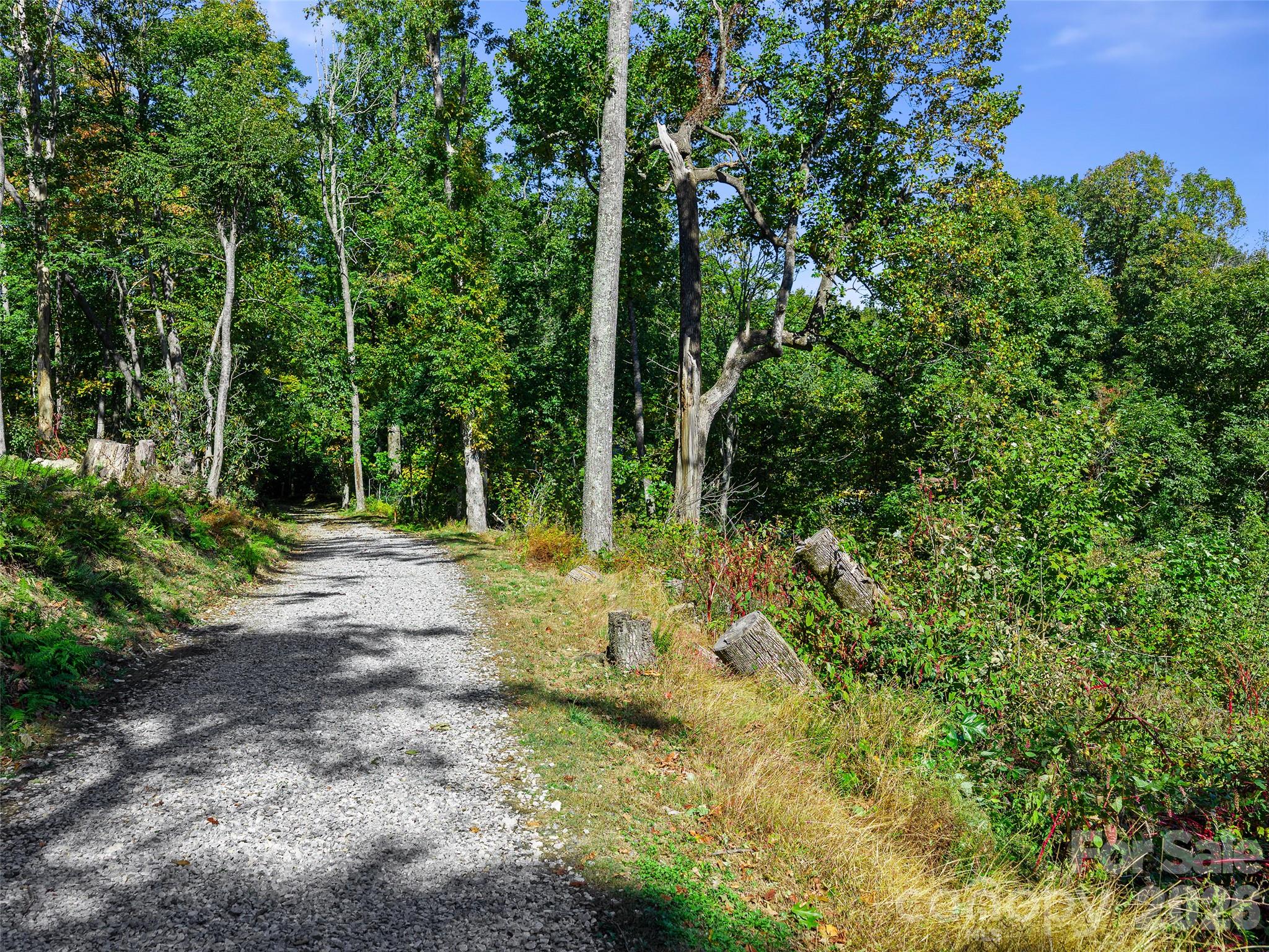 Tbd Chestnut Grove Road Property Photo 21