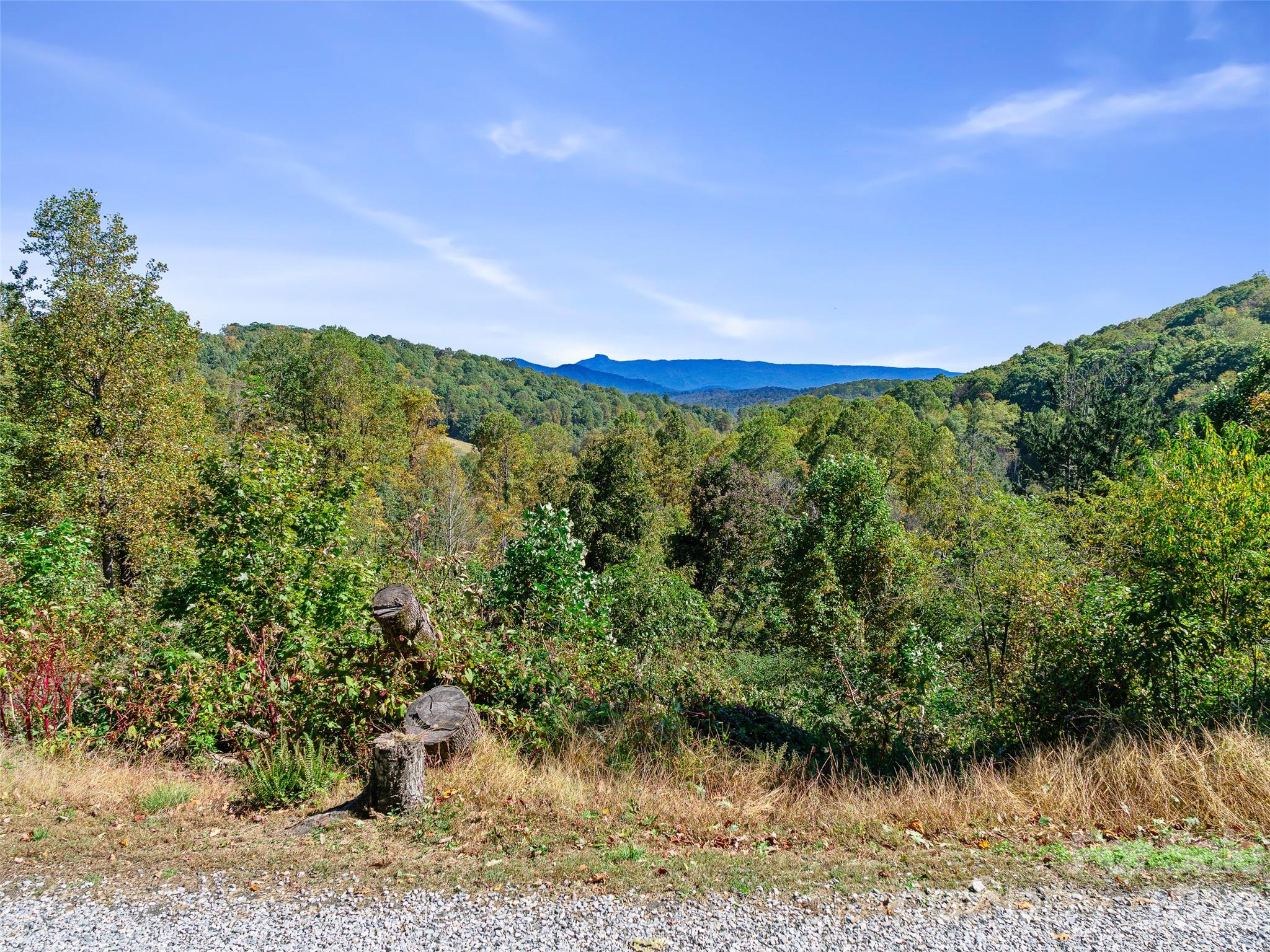 Tbd Chestnut Grove Road Property Photo 23