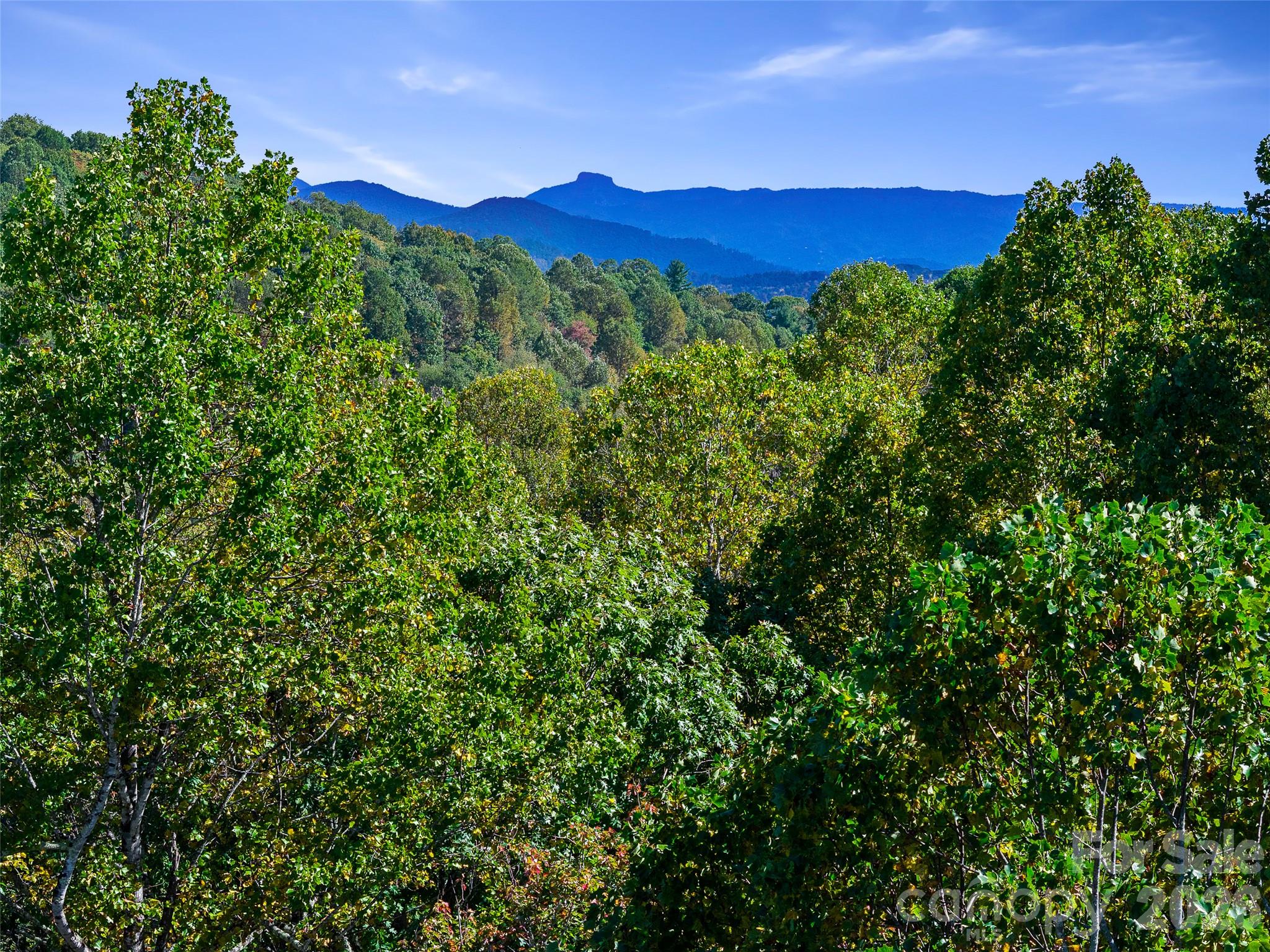 Tbd Chestnut Grove Road Property Photo 25