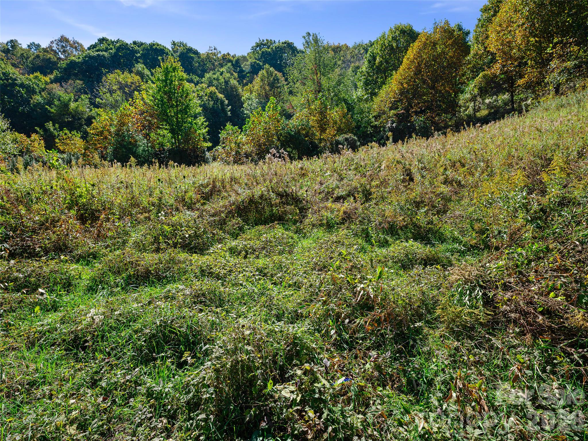Tbd Chestnut Grove Road Property Photo 26
