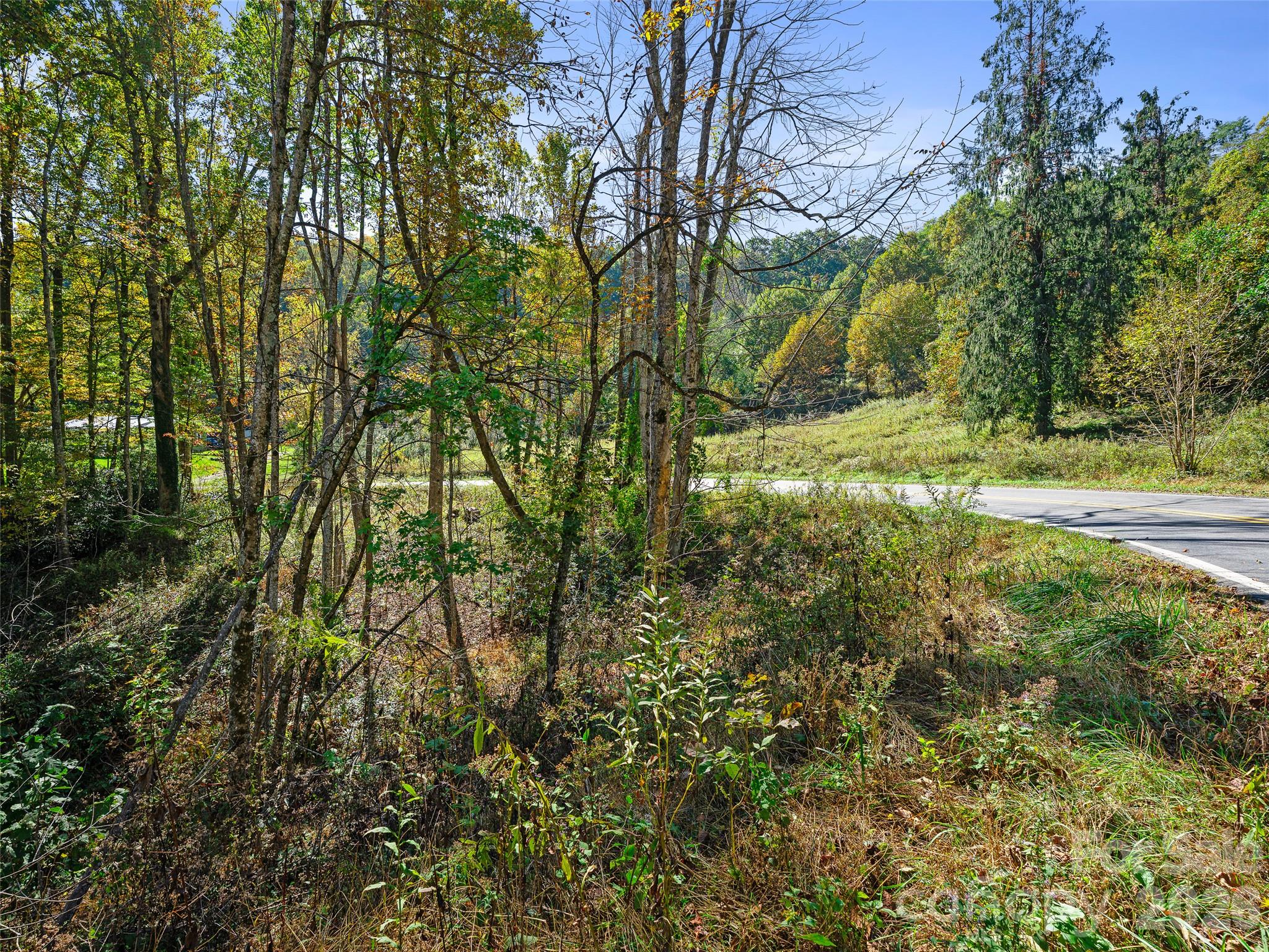 Tbd Chestnut Grove Road Property Photo 30