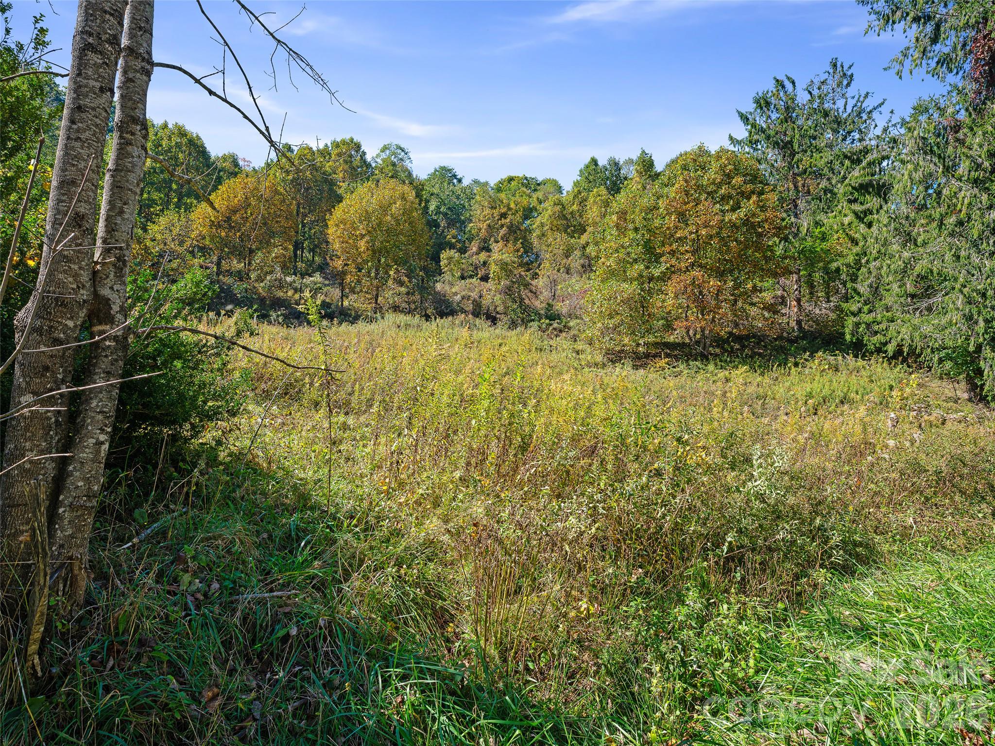 Tbd Chestnut Grove Road Property Photo 33