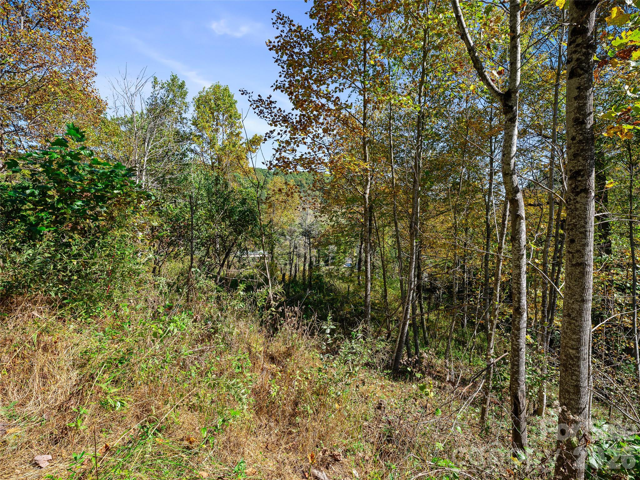 Tbd Chestnut Grove Road Property Photo 34