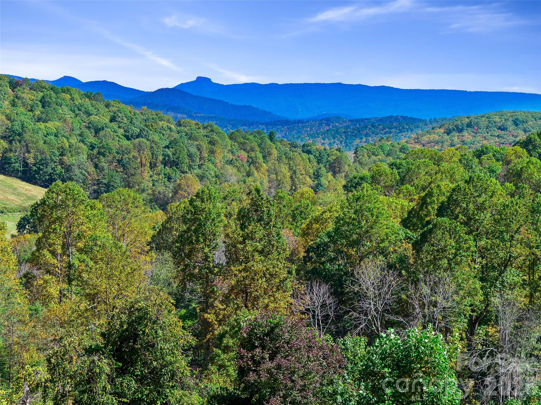 Tbd Chestnut Grove Road Property Photo 35