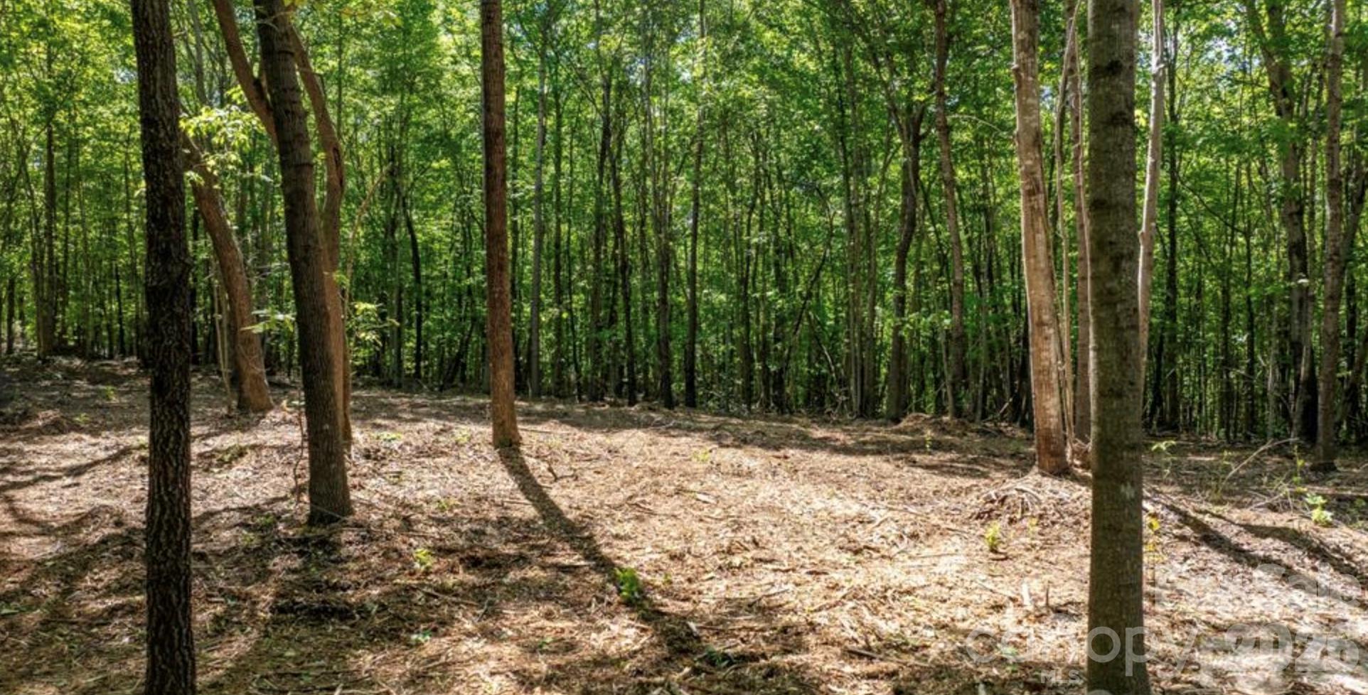 00 Stikeleather Road Lot 2 Property Photo 3
