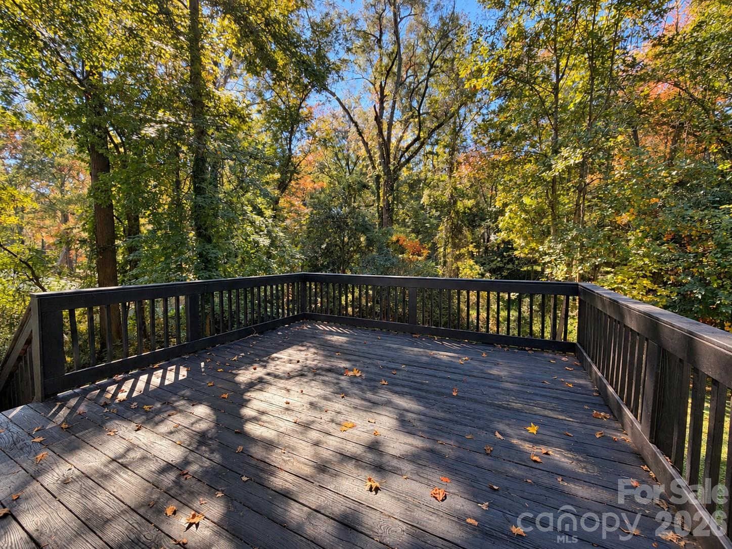 116 Springdale Drive Property Photo 36