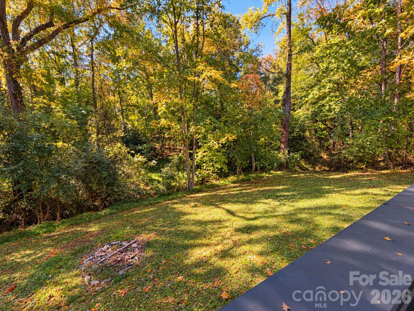 116 Springdale Drive Property Photo 39