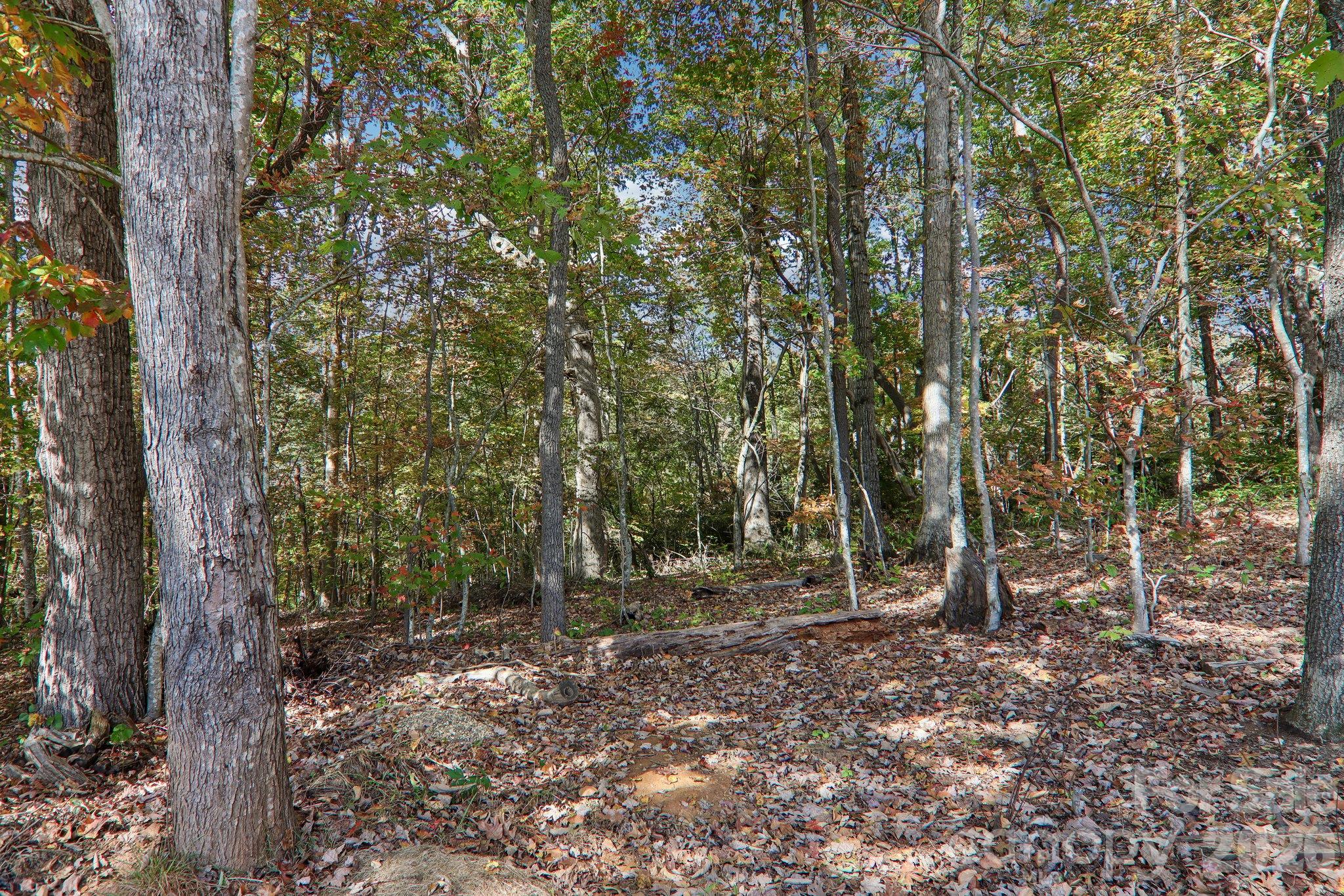 85 Guy Way Property Photo 38