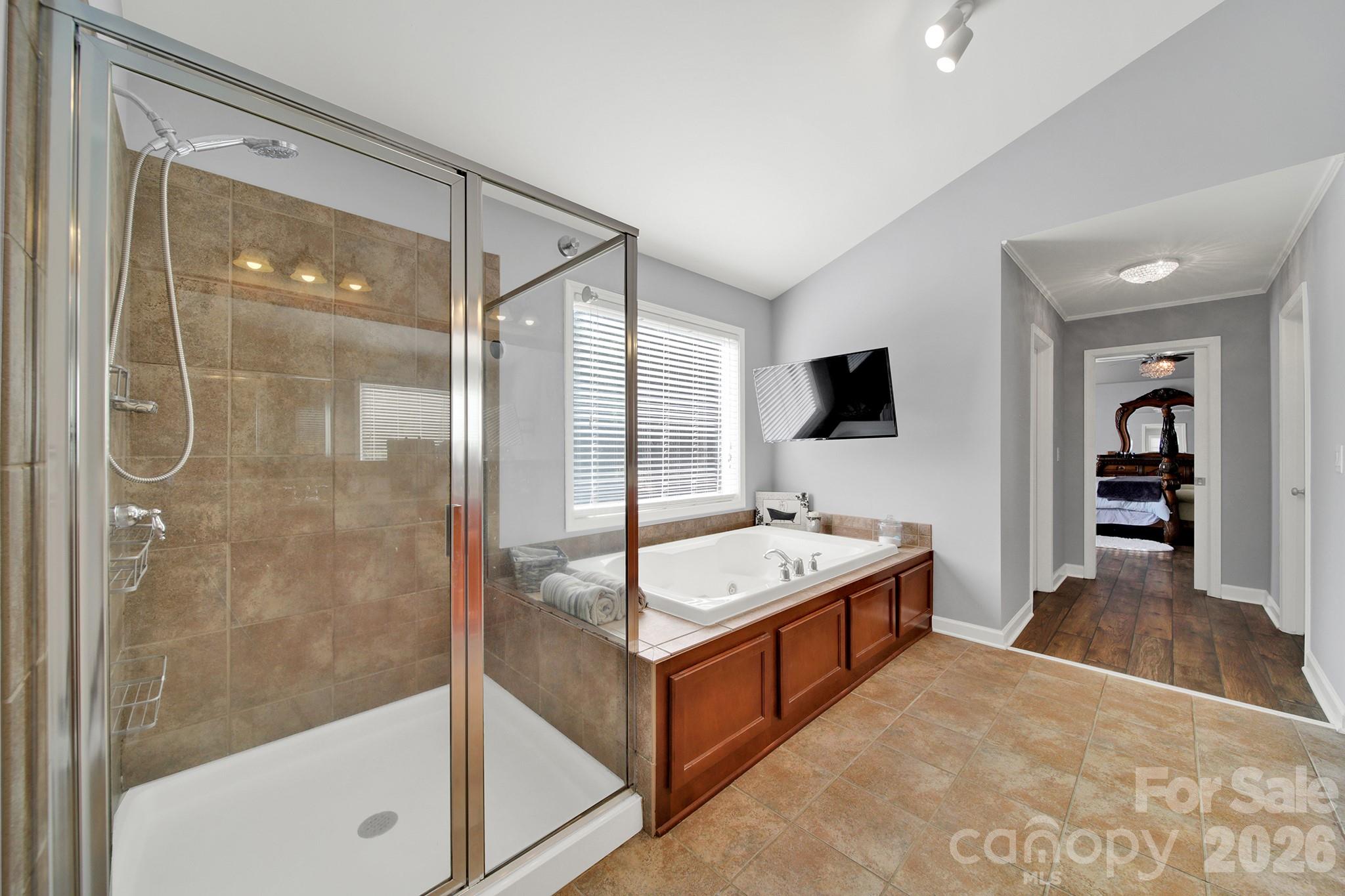 17219 W Marbella Lane Property Photo 25