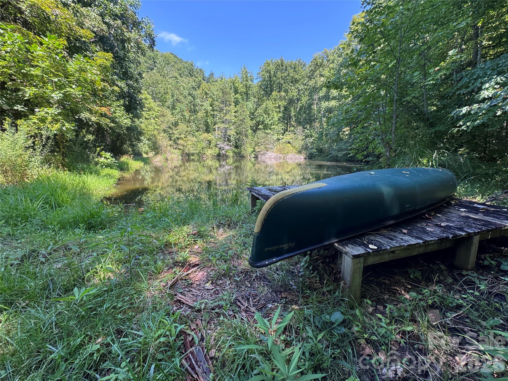 300 ± Acres Upper Flat Creek Road Property Photo 5