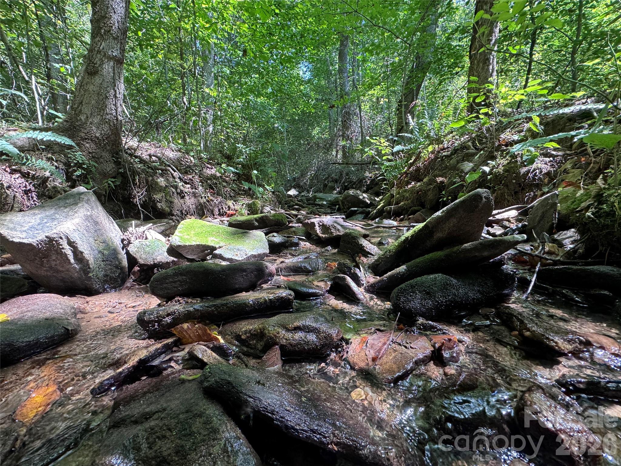 300 ± Acres Upper Flat Creek Road Property Photo 6