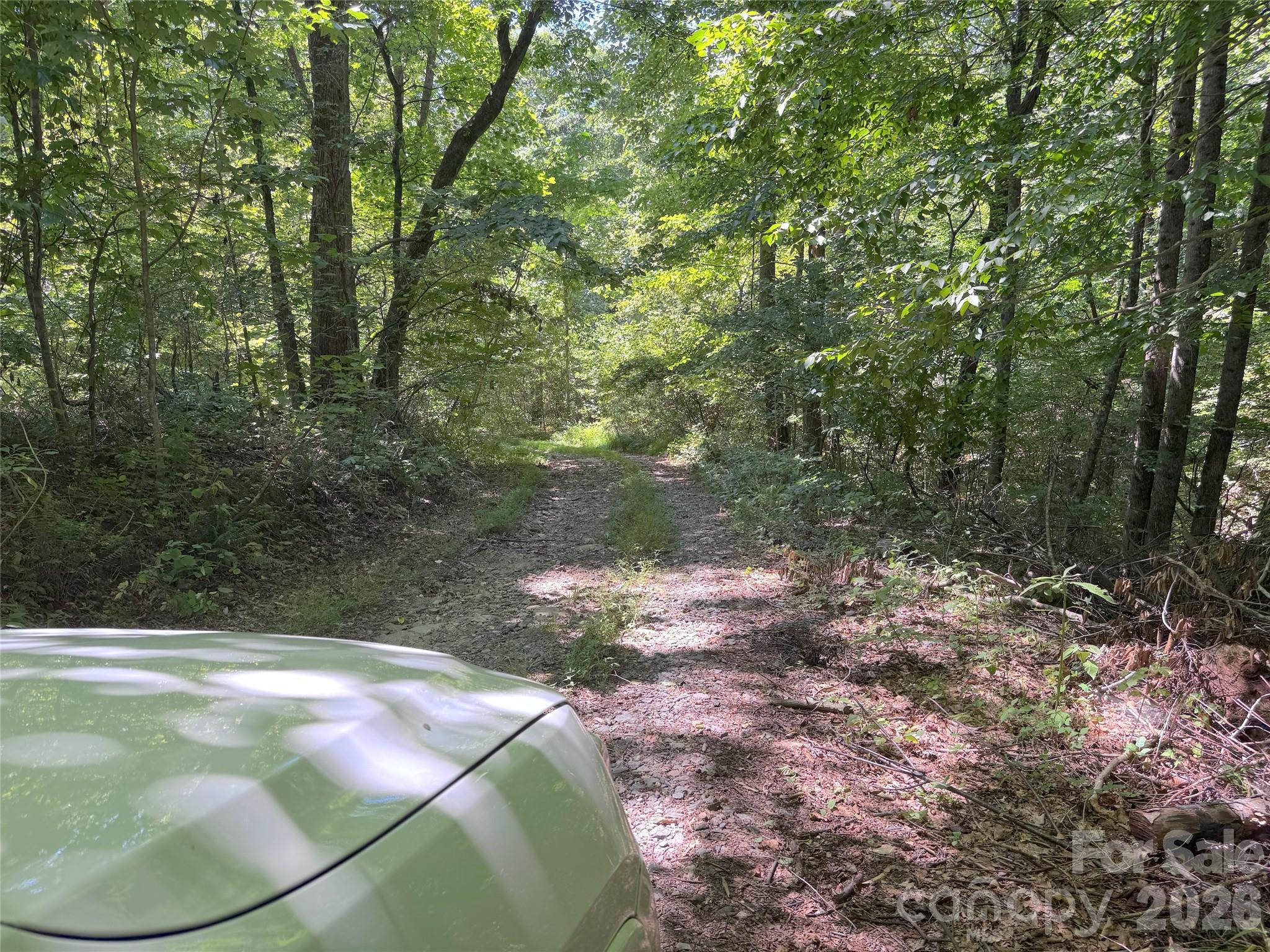300 ± Acres Upper Flat Creek Road Property Photo 7