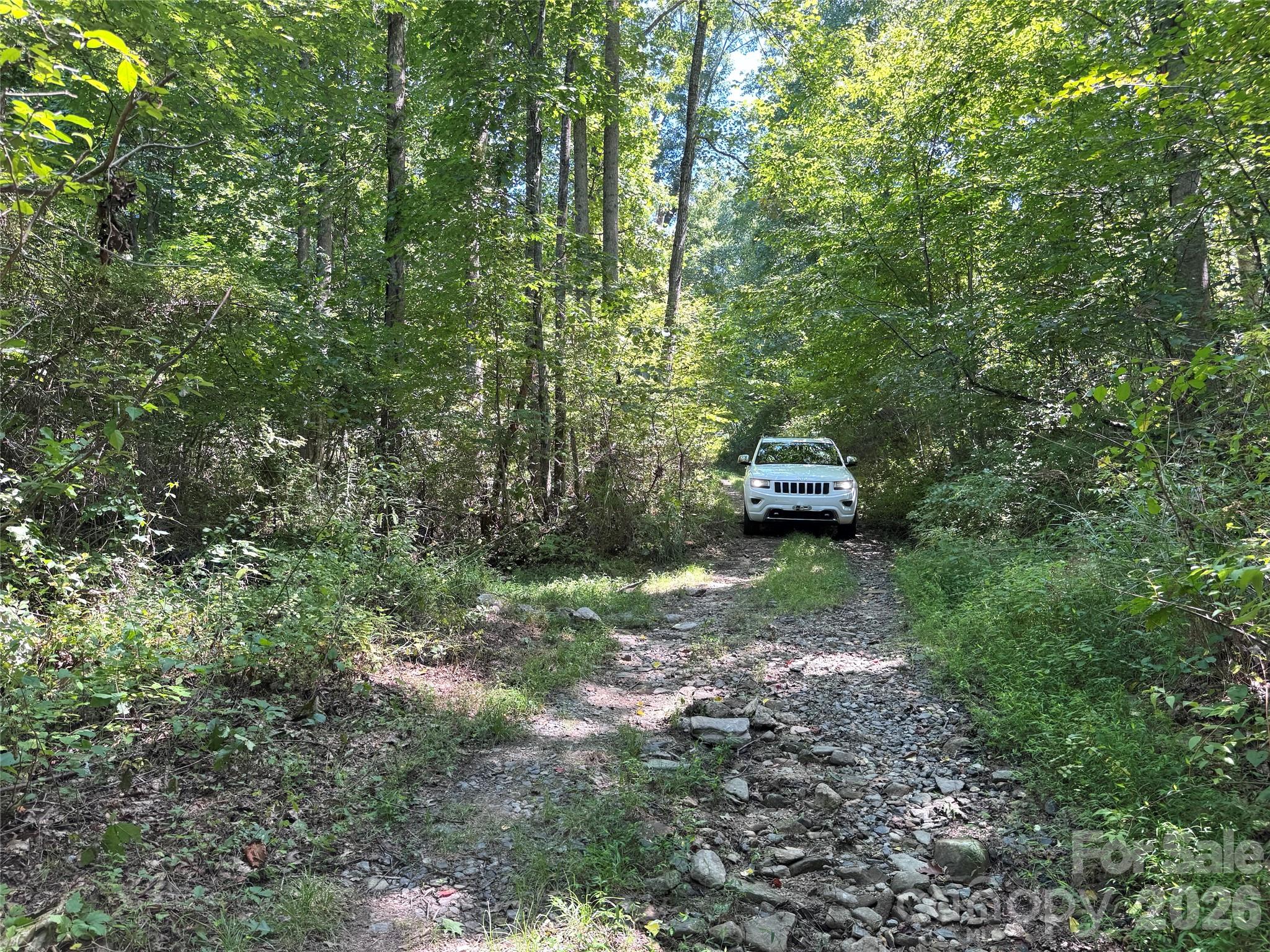 300 ± Acres Upper Flat Creek Road Property Photo 9