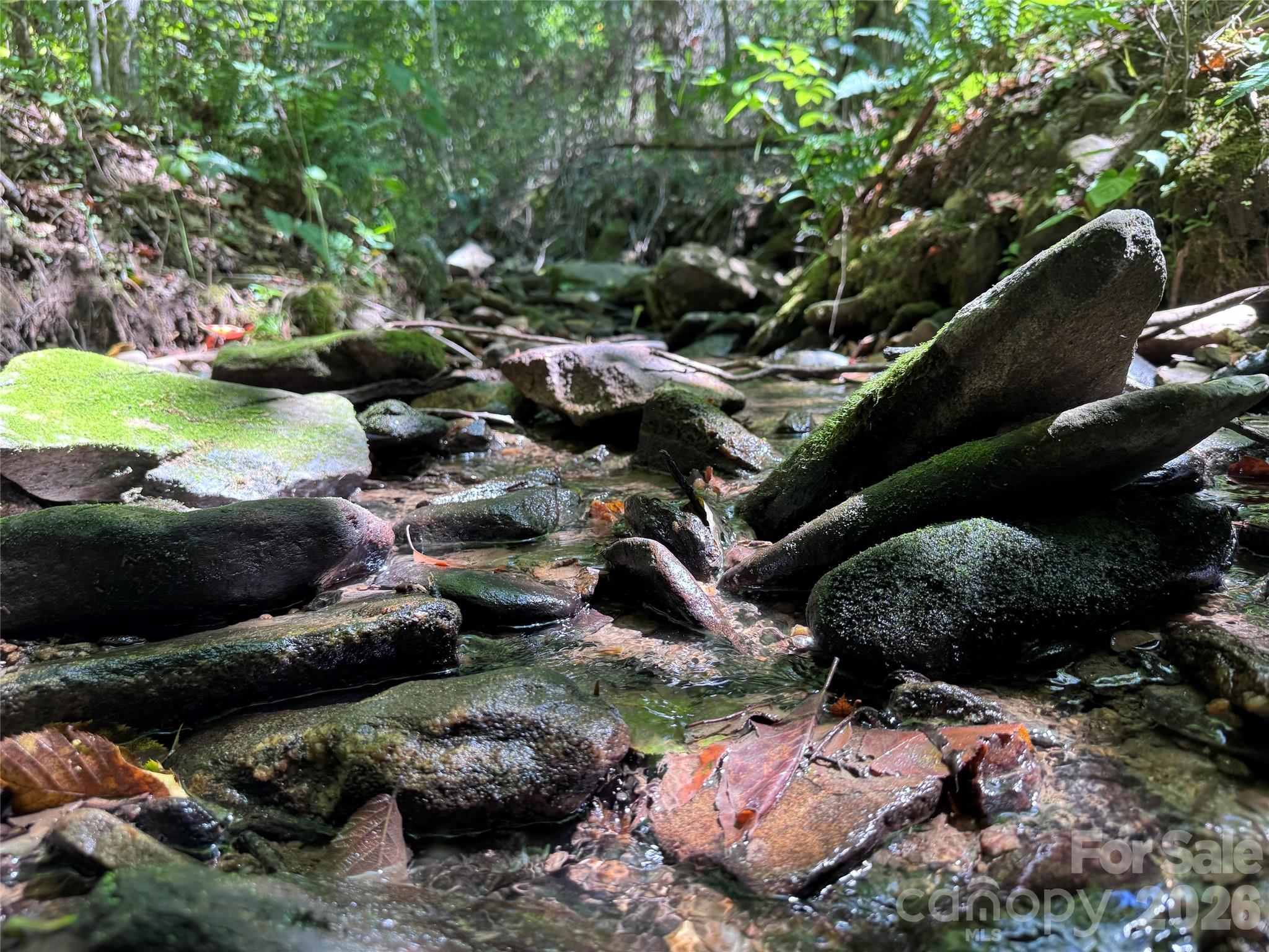 300 ± Acres Upper Flat Creek Road Property Photo 11