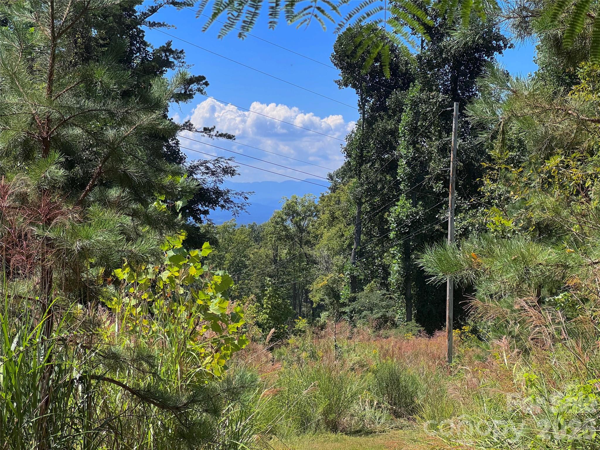 300 ± Acres Upper Flat Creek Road Property Photo 12