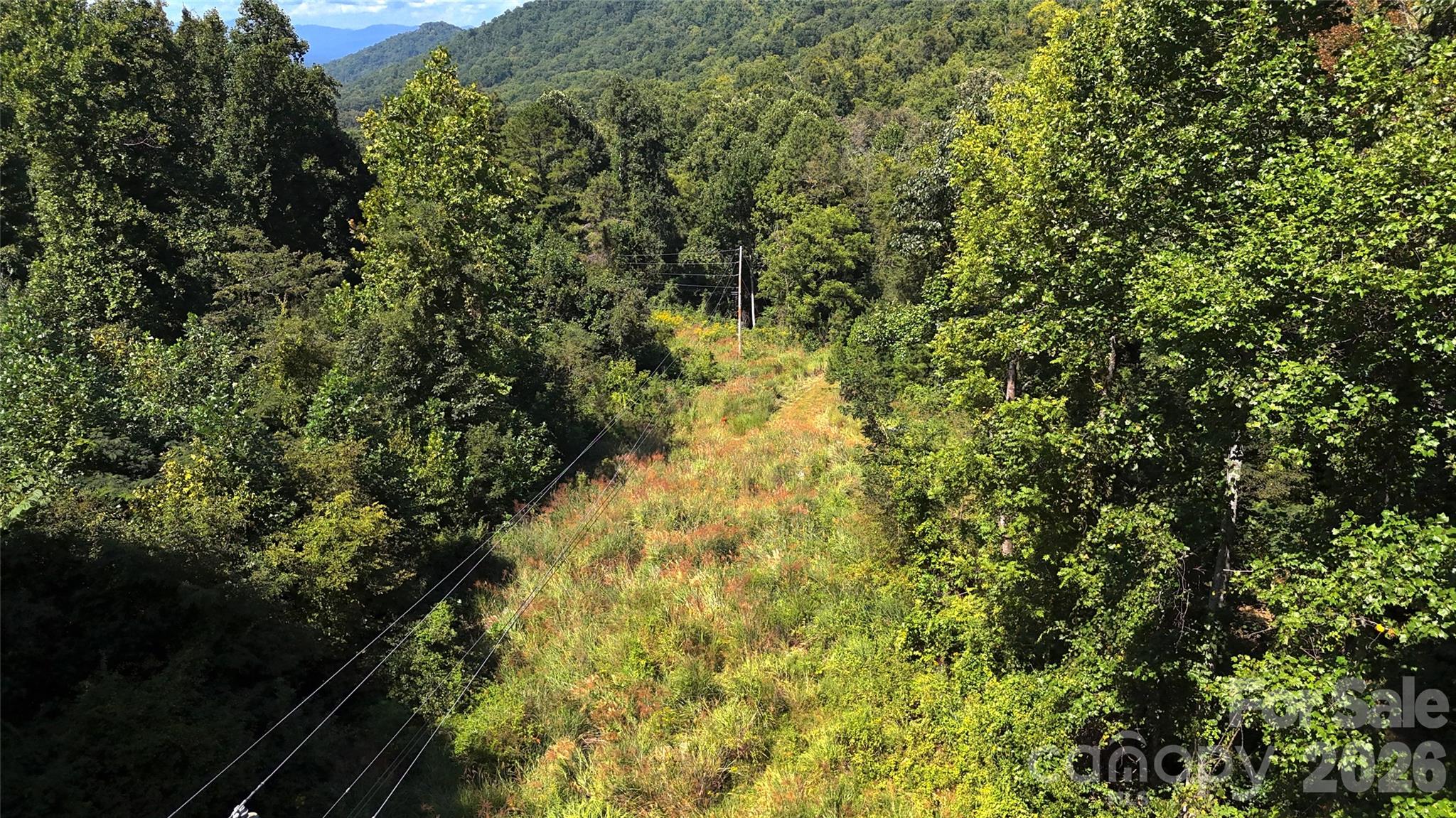 300 ± Acres Upper Flat Creek Road Property Photo 13