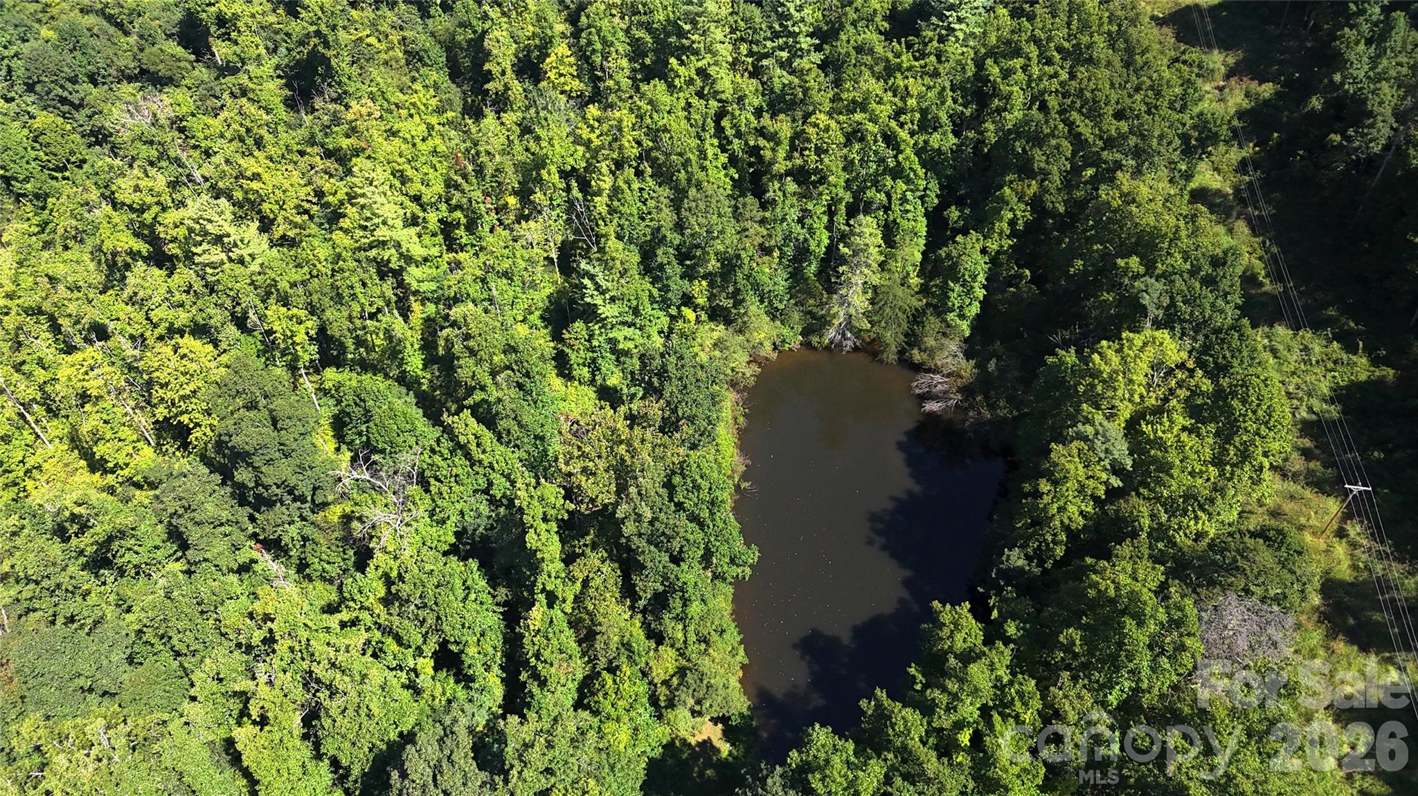 300 ± Acres Upper Flat Creek Road Property Photo 14