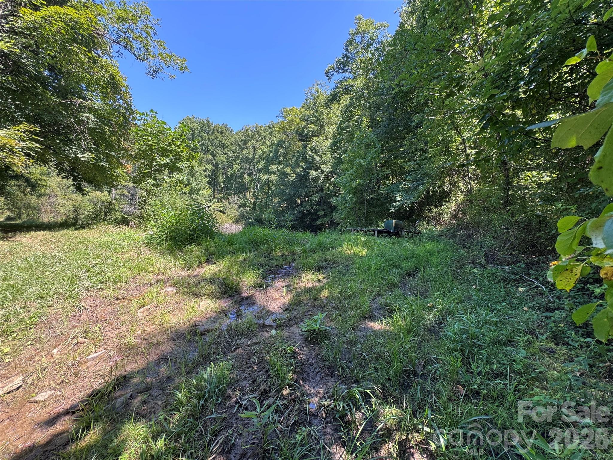 300 ± Acres Upper Flat Creek Road Property Photo 15