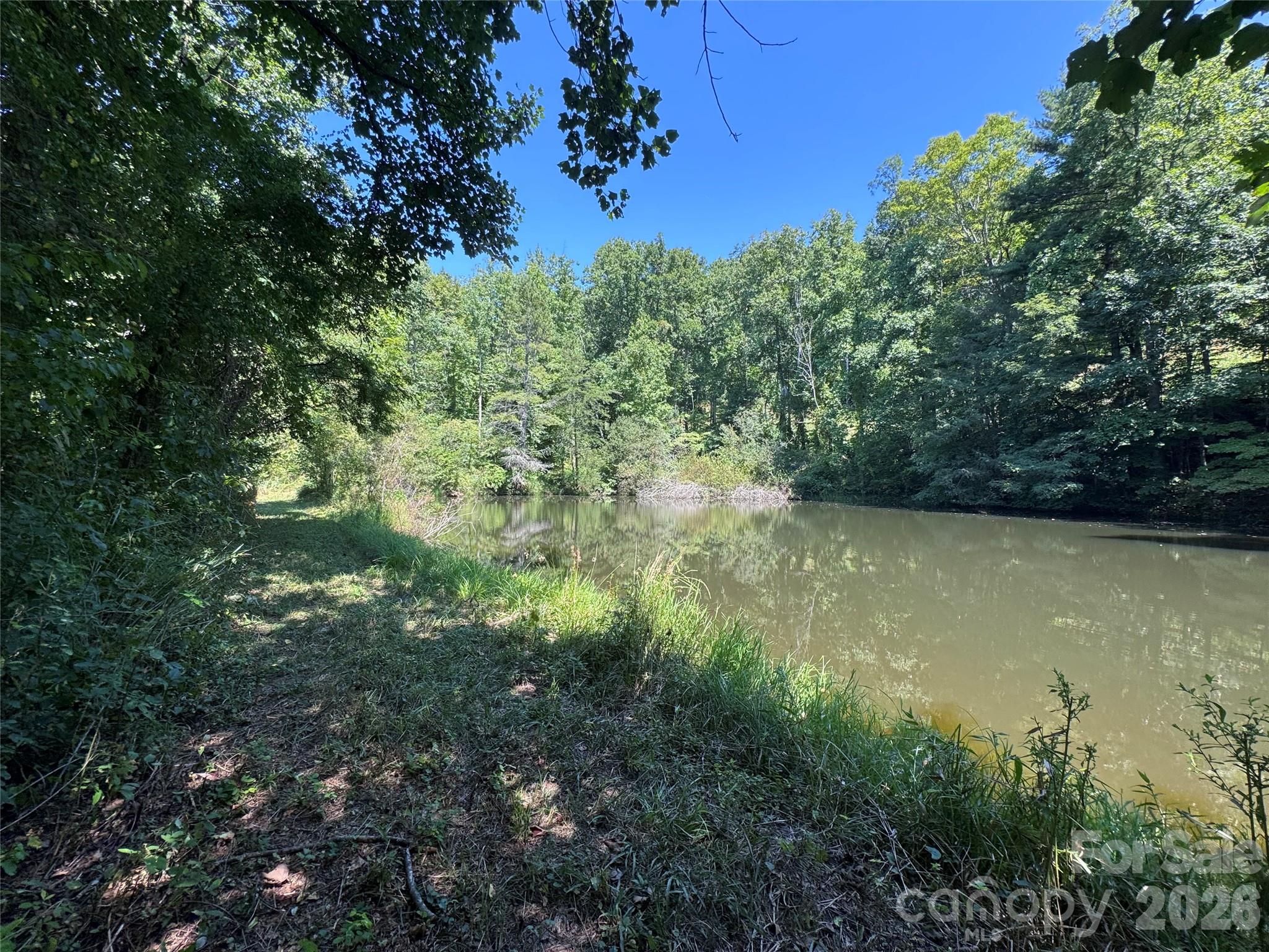 300 ± Acres Upper Flat Creek Road Property Photo 16