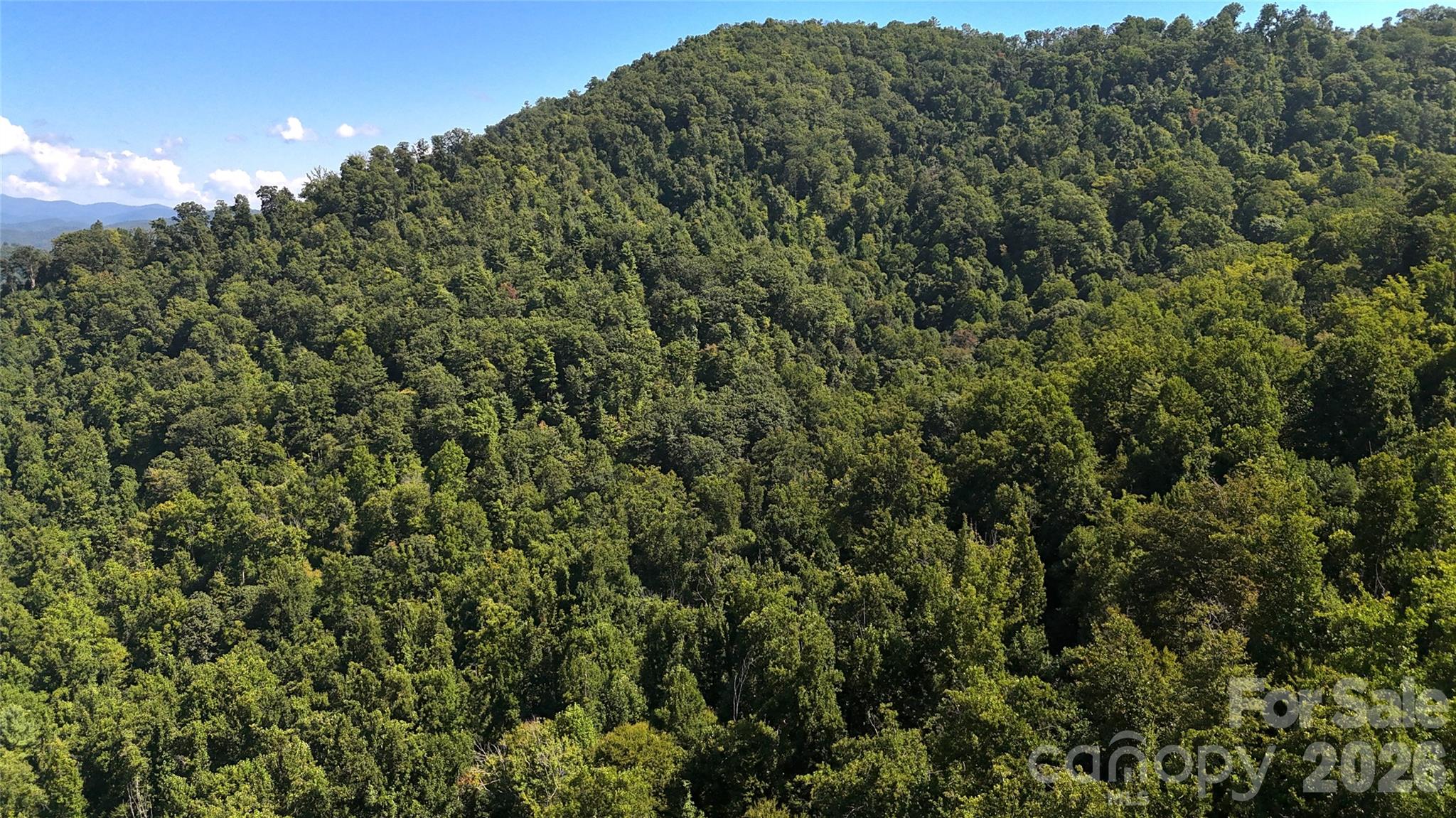 300 ± Acres Upper Flat Creek Road Property Photo 21