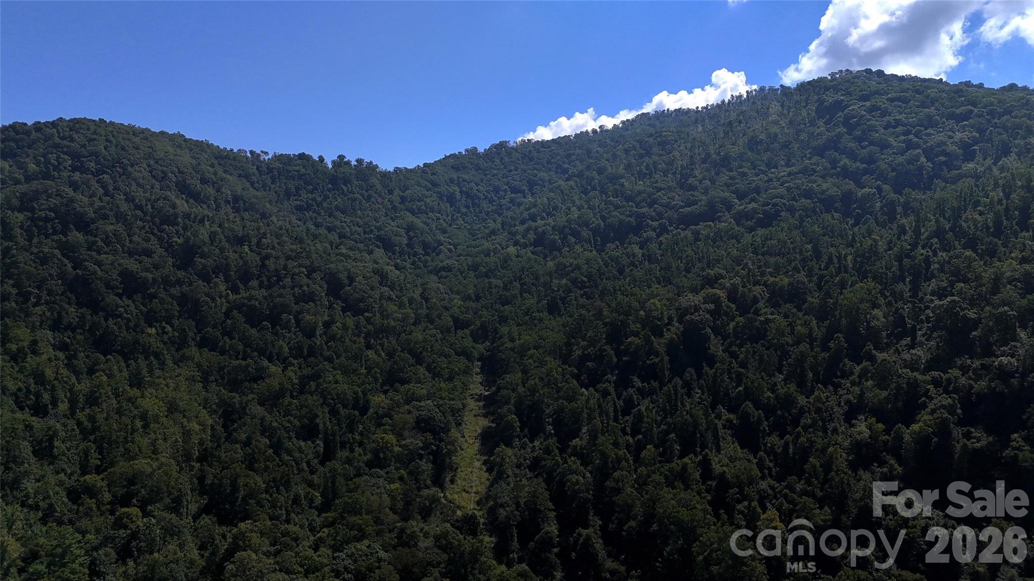 300 ± Acres Upper Flat Creek Road Property Photo 22