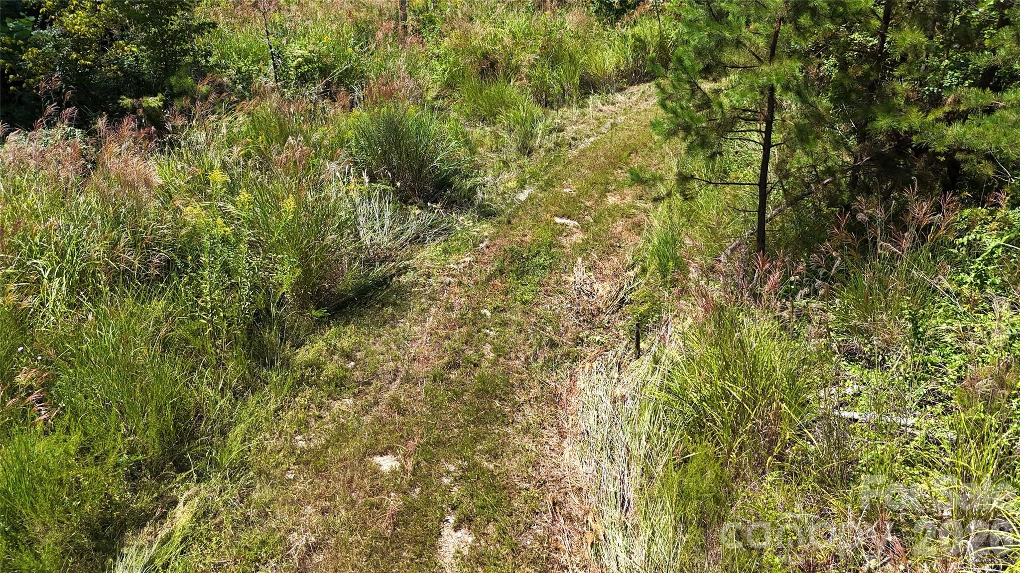300 ± Acres Upper Flat Creek Road Property Photo 23