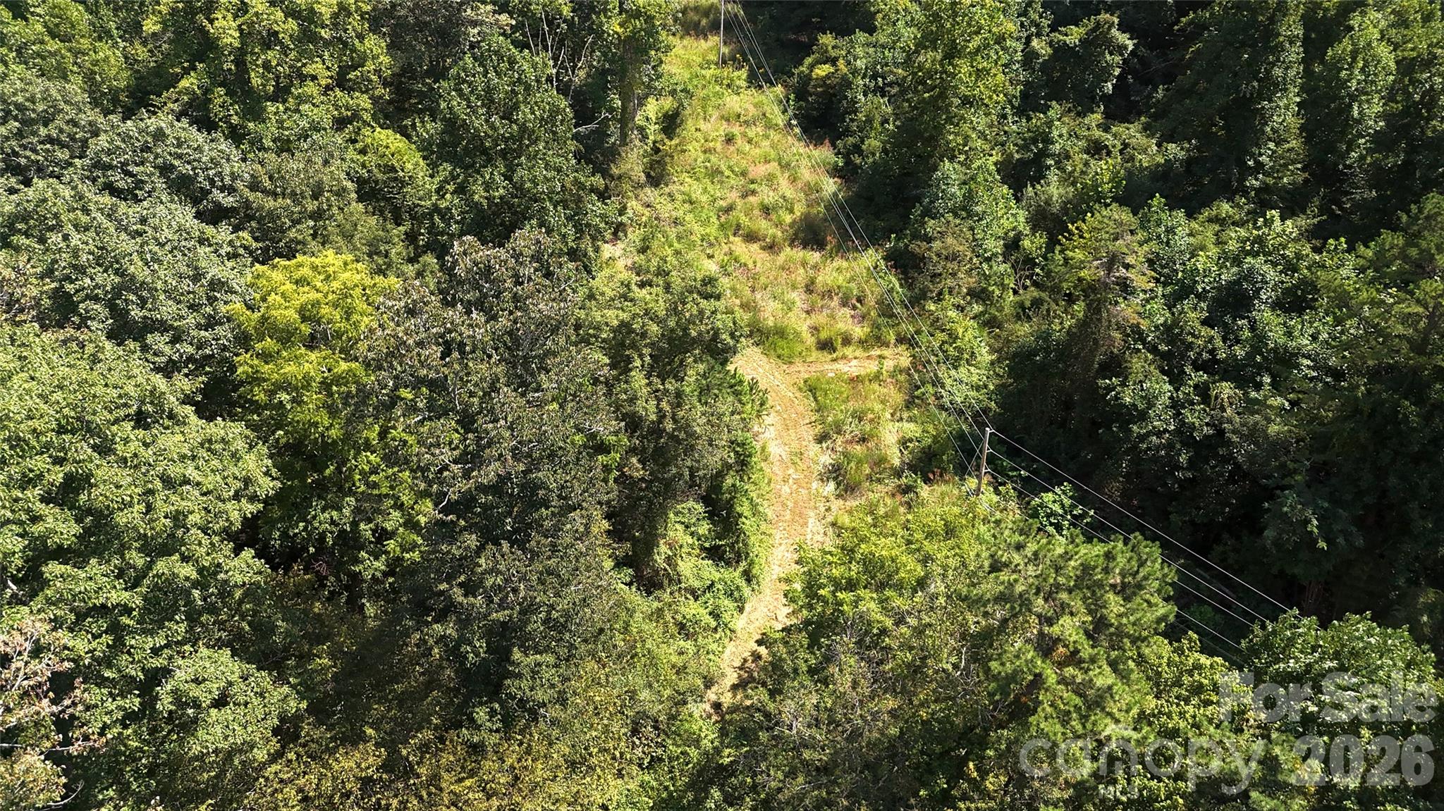 300 ± Acres Upper Flat Creek Road Property Photo 24