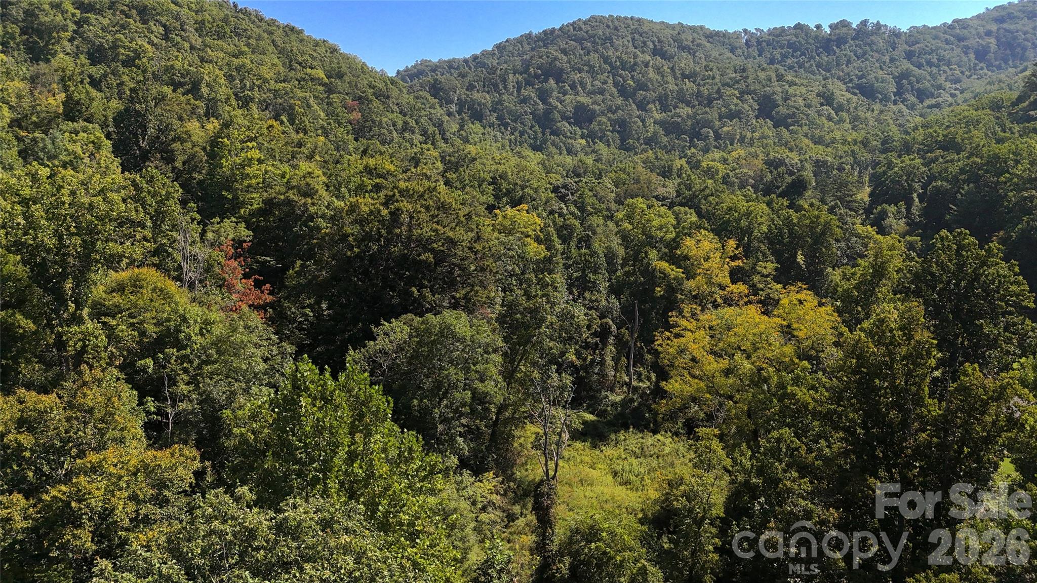 300 ± Acres Upper Flat Creek Road Property Photo 25