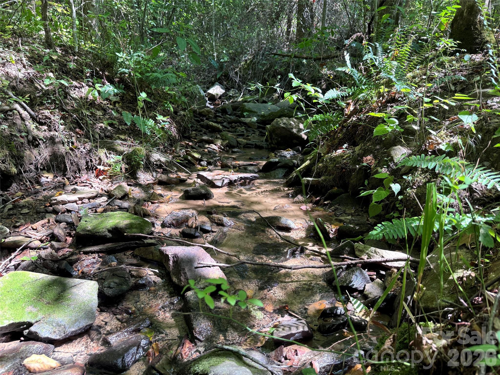 300 ± Acres Upper Flat Creek Road Property Photo 27
