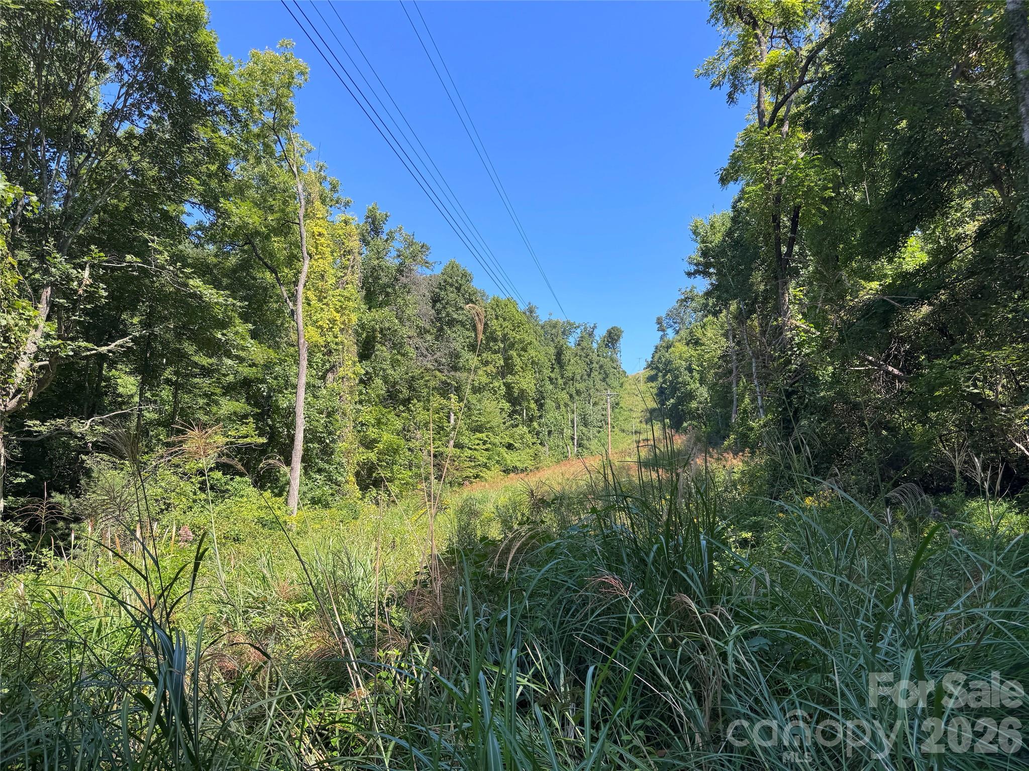 300 ± Acres Upper Flat Creek Road Property Photo 34