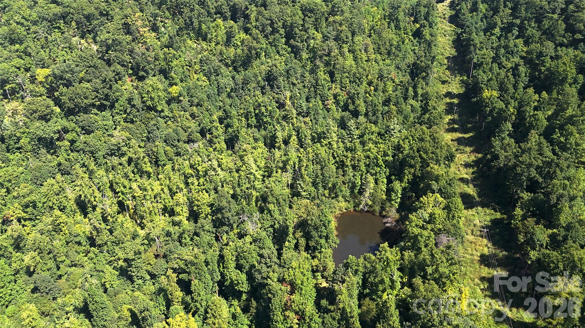 300 ± Acres Upper Flat Creek Road Property Photo 36