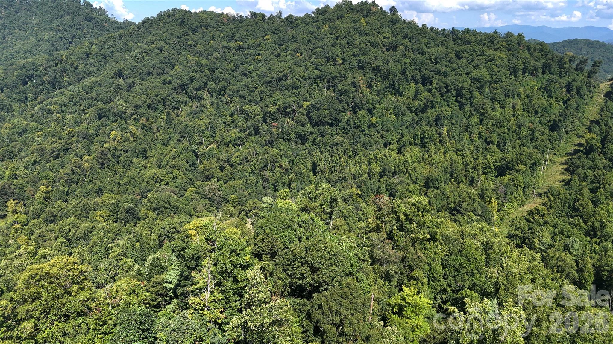 300 ± Acres Upper Flat Creek Road Property Photo 37