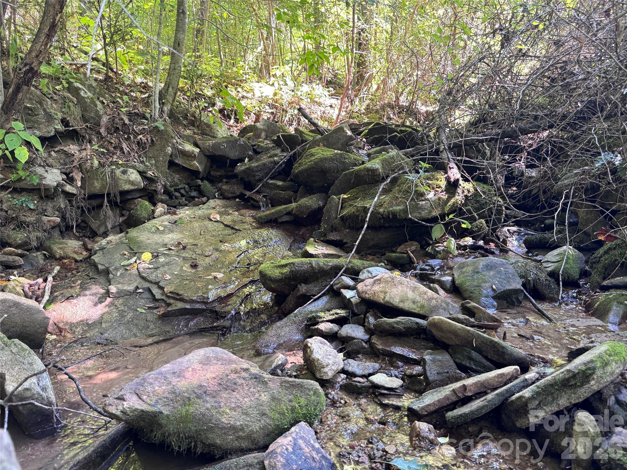 300 ± Acres Upper Flat Creek Road Property Photo 38