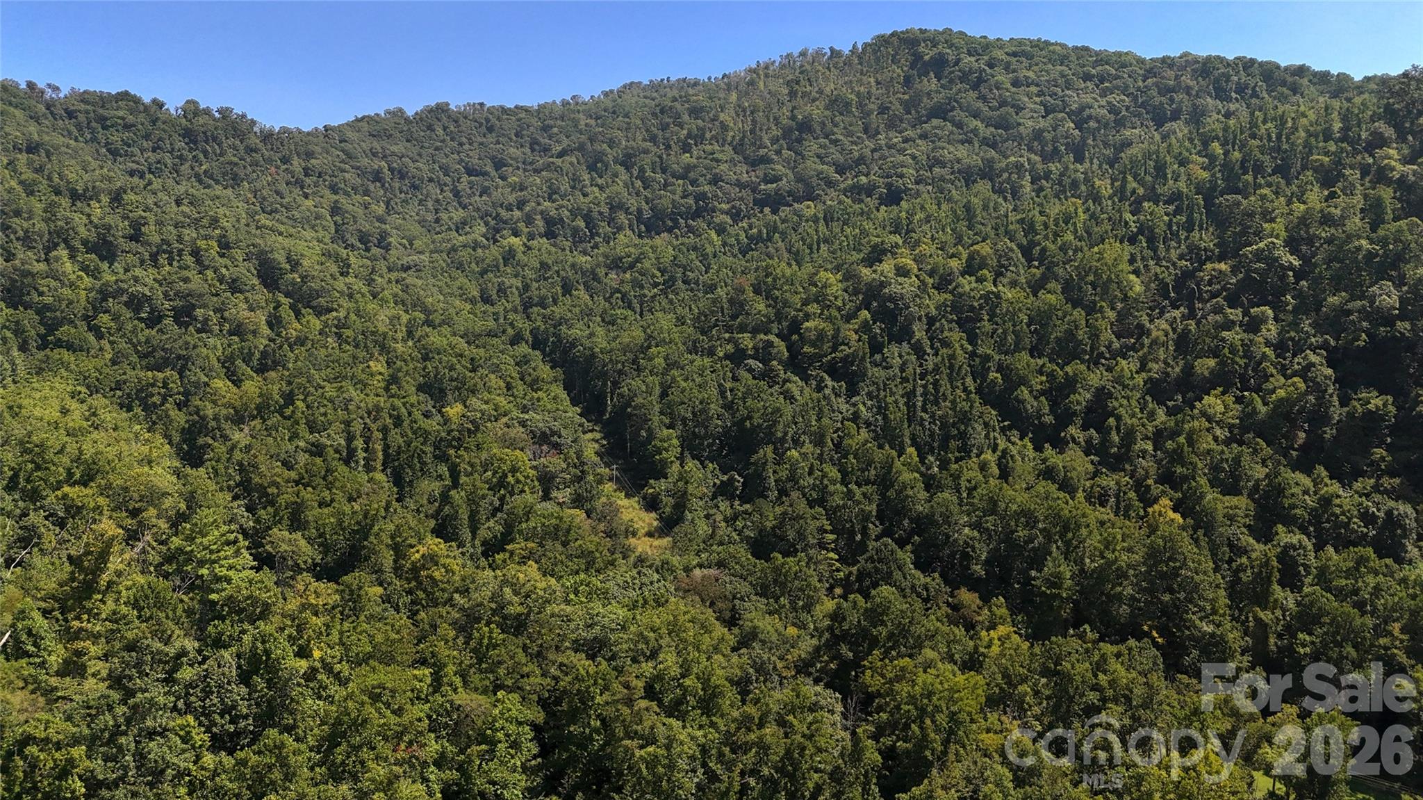 300 ± Acres Upper Flat Creek Road Property Photo 39