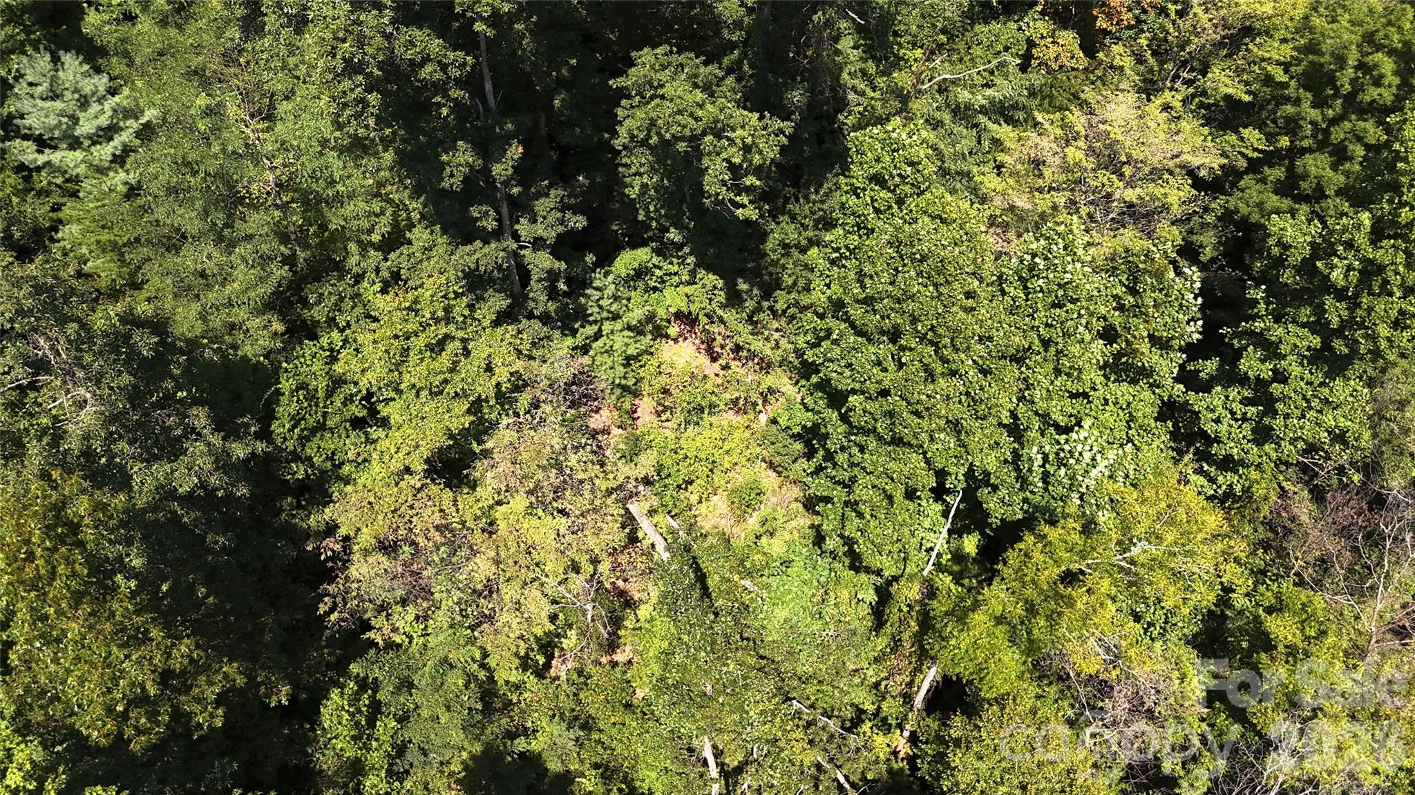 300 ± Acres Upper Flat Creek Road Property Photo 40