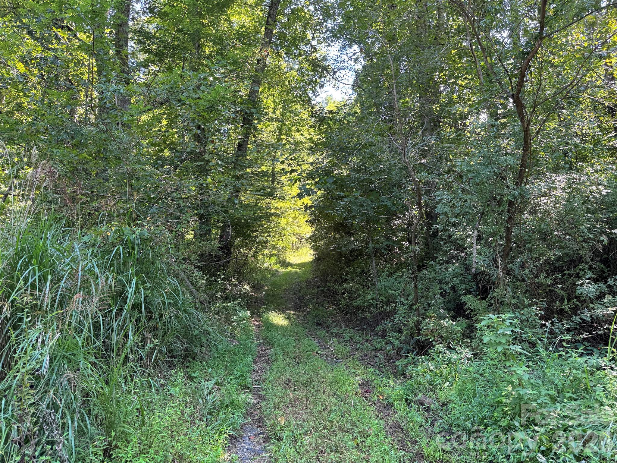 300 ± Acres Upper Flat Creek Road Property Photo 43