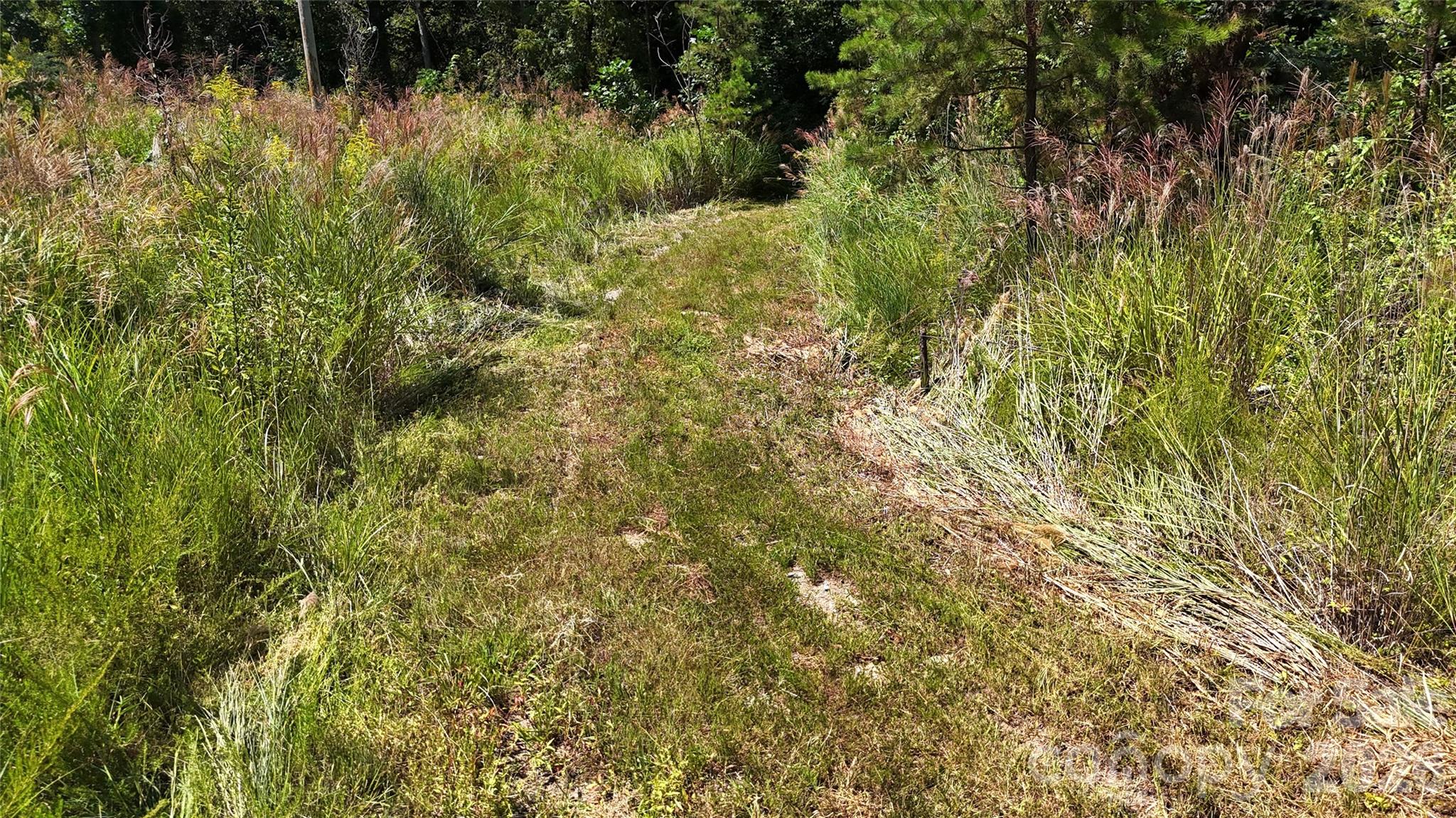 300 ± Acres Upper Flat Creek Road Property Photo 44