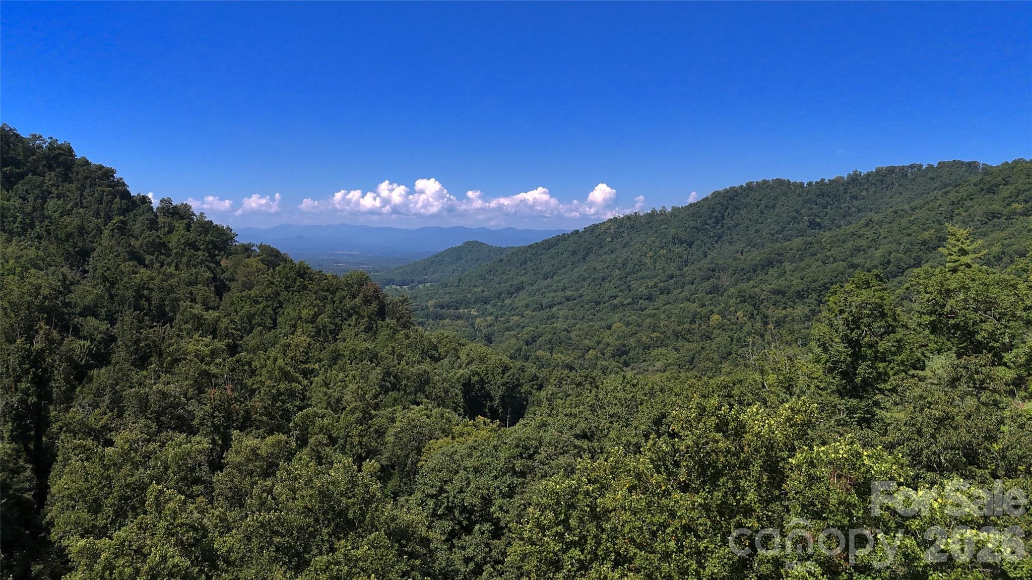 300 ± Acres Upper Flat Creek Road Property Photo 45