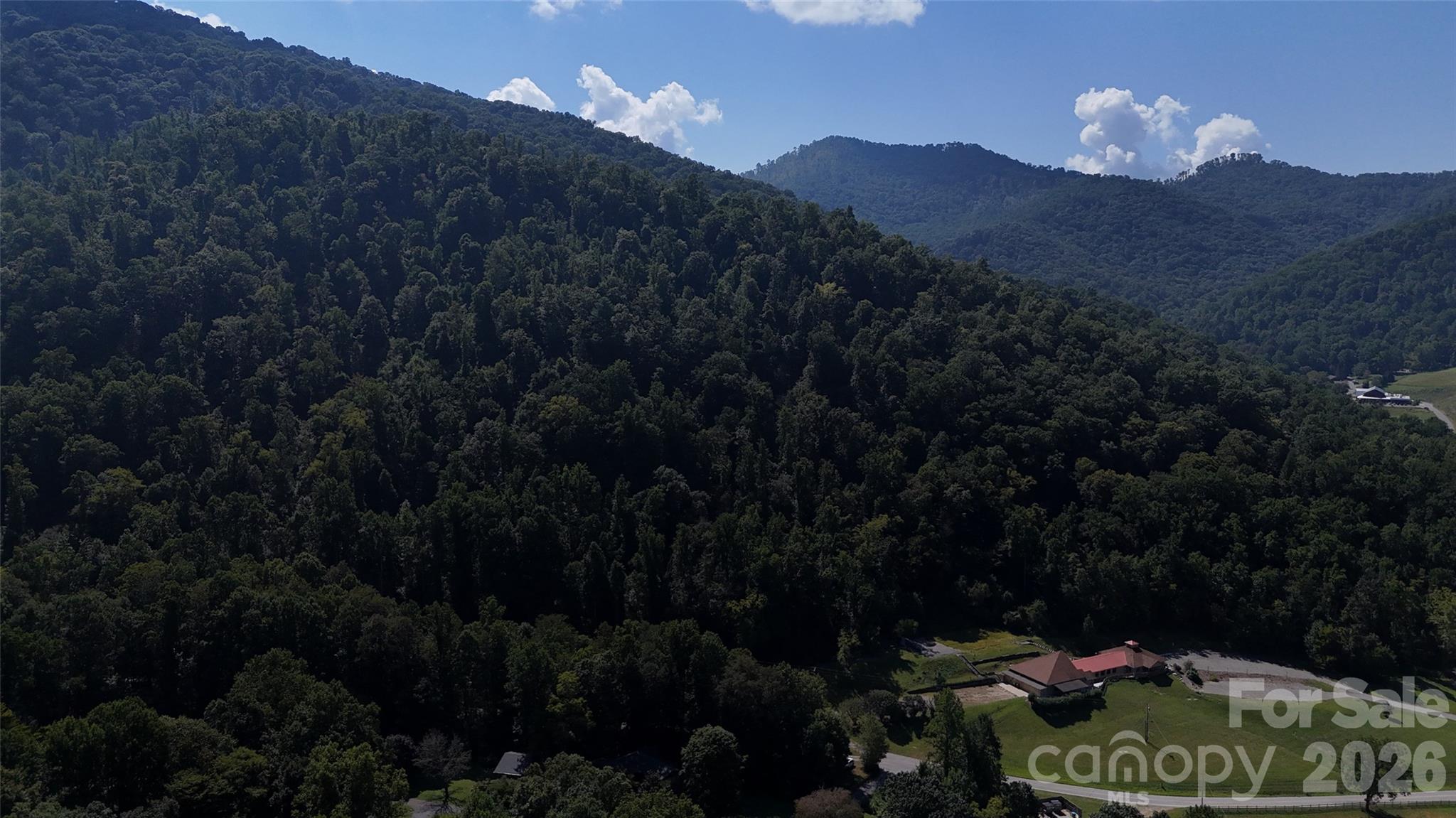 101 ± Acres Timbersong Drive Property Photo 2