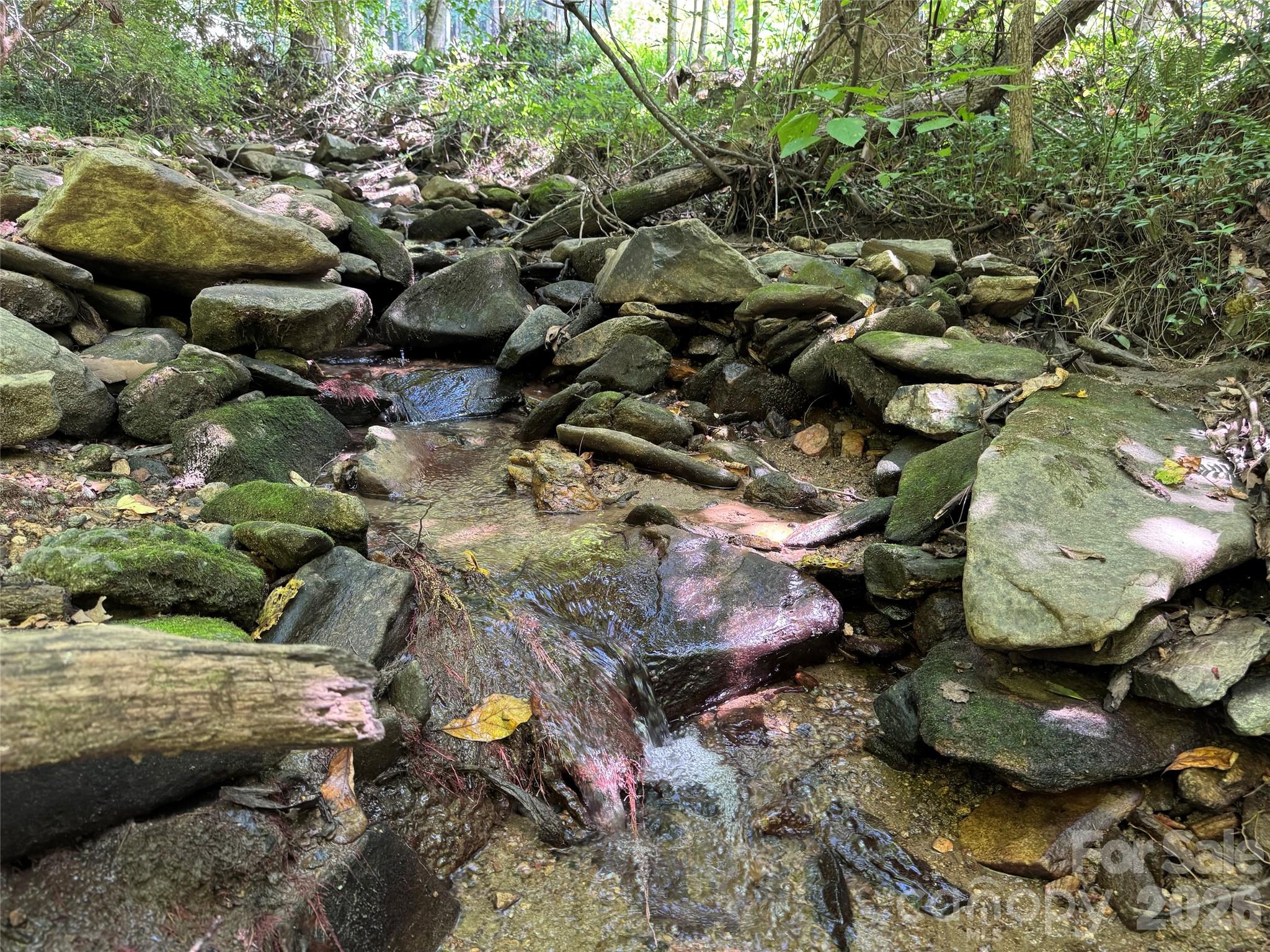 101 ± Acres Timbersong Drive Property Photo 7