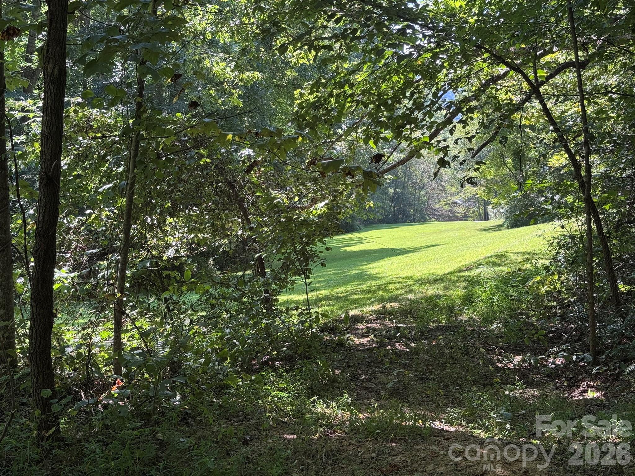 101 ± Acres Timbersong Drive Property Photo 8